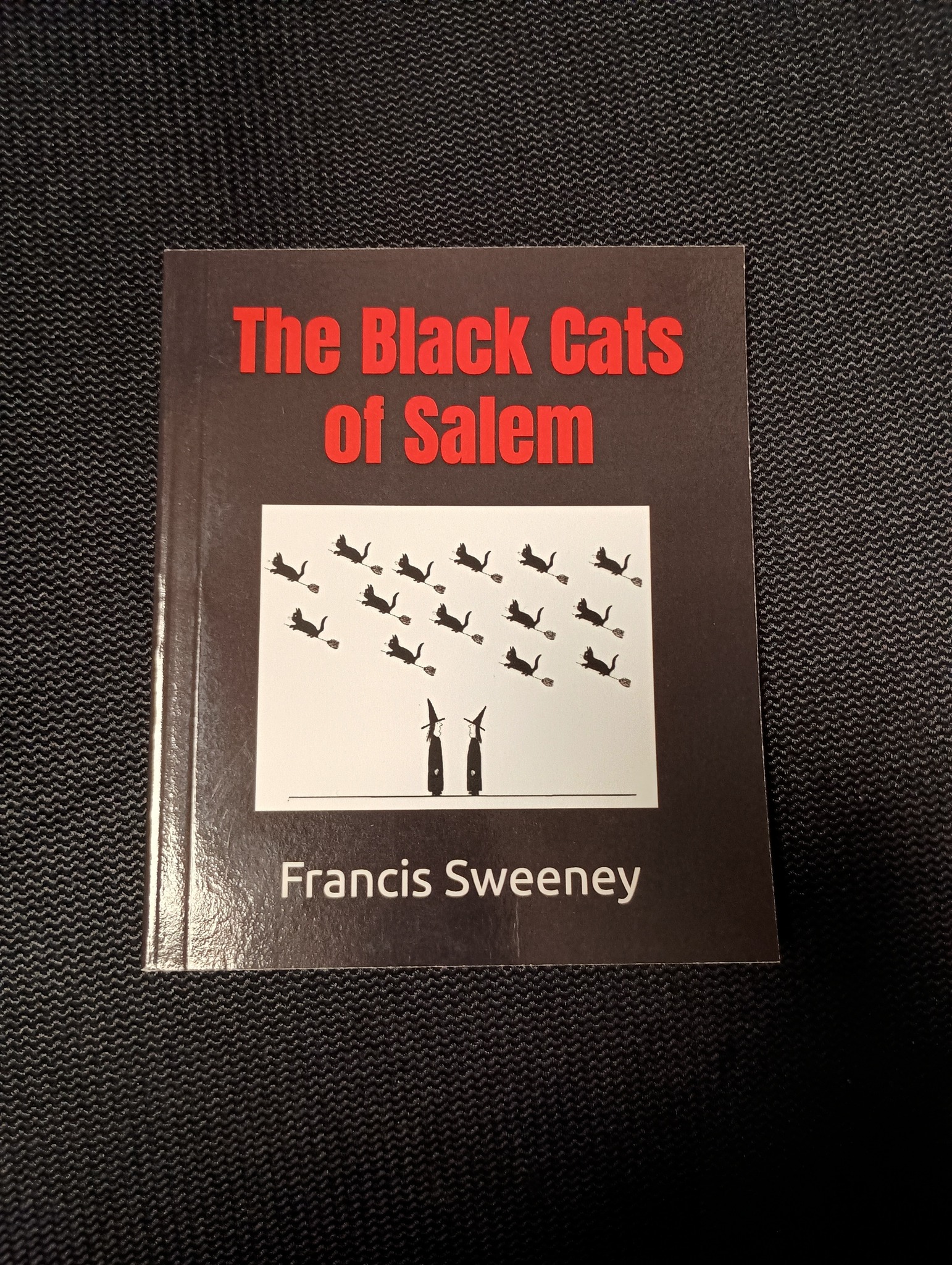 Wicked Salem, Ma - The Witch City | If your in Salem I Recommend ...