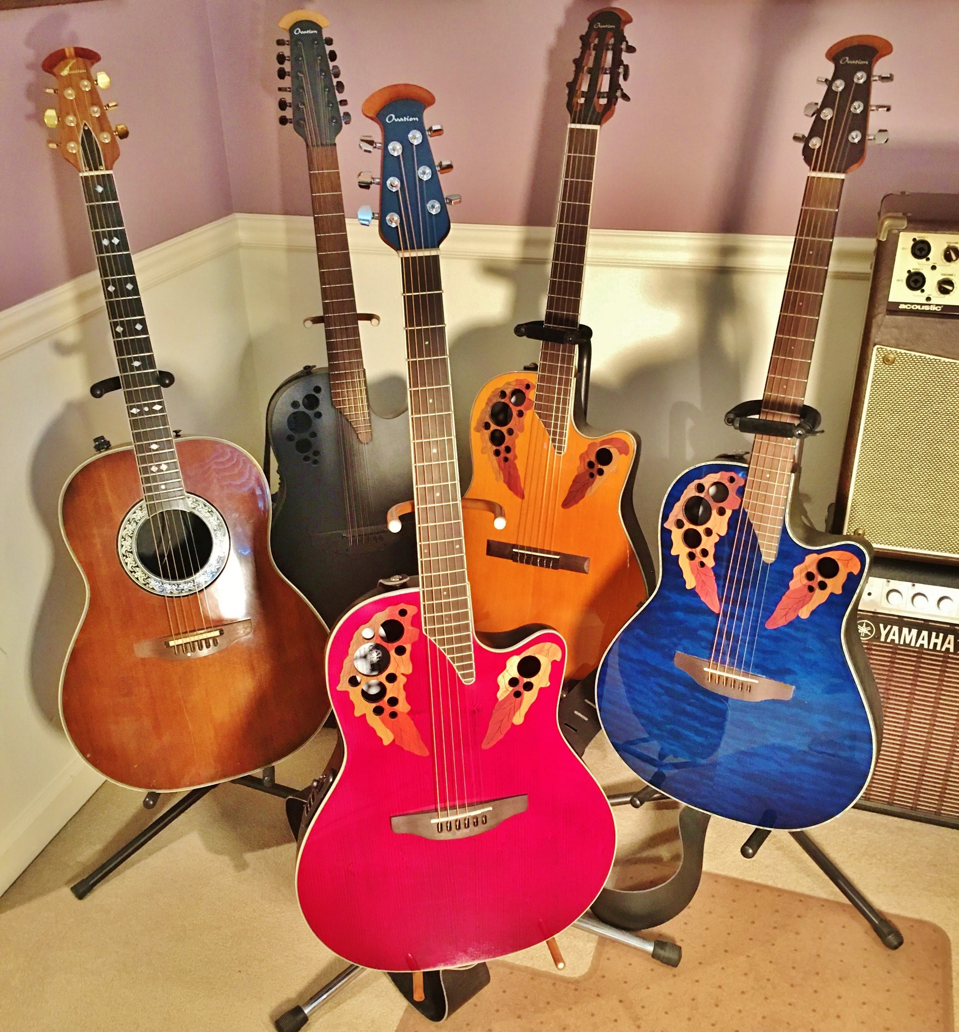 Ovation guitar collection grows with new discoveries