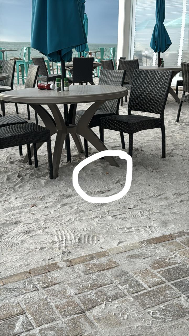 cigarette butt chair RECEPTACLE 30IN 11IN 1GAL Keep Anna Maria Island beaches