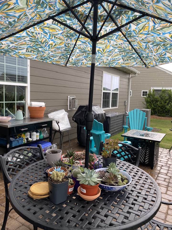 coolaroo patio umbrellas Outdoor Roller Shade with Wand Size:10'X10'(Hot Sale) 07UMB053-8SS_DSPV 10' Round Sunbrella Cast Not intended for commercial