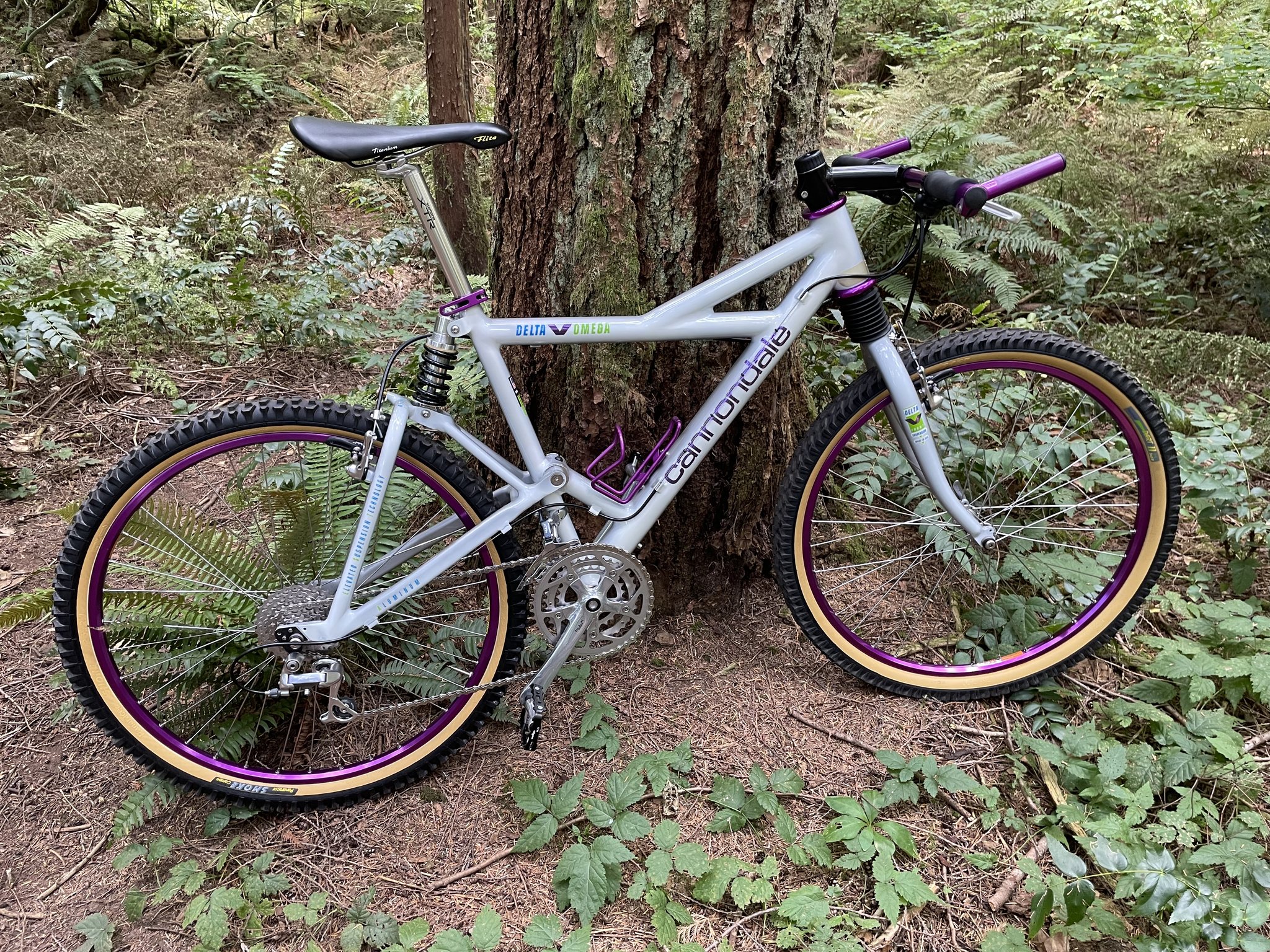 Mint condition Delta V 1000 bike