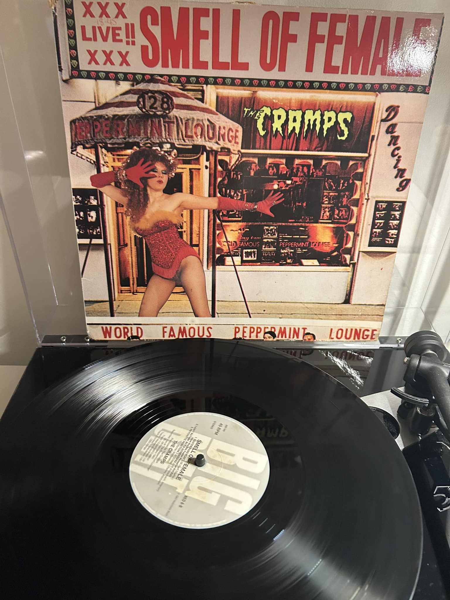 The Cramps 