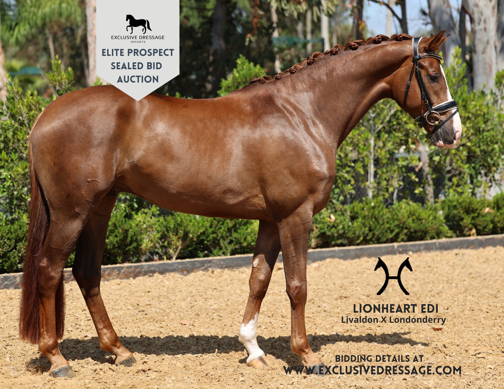 Super Opportunity! Located in Rancho Santa Fe CA. Elite Prospect
