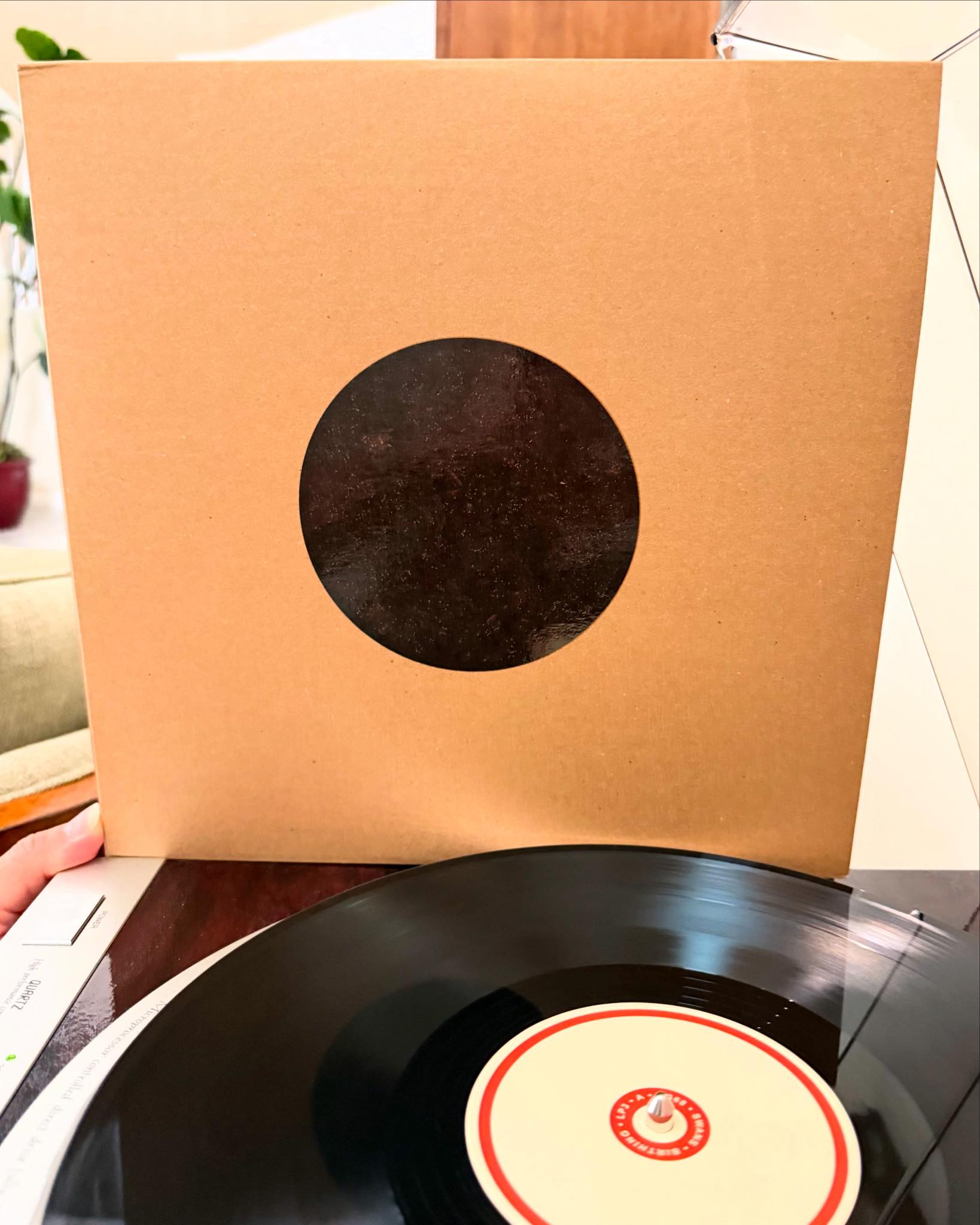 Swans - Holy Money on PVC Records. S.W.A·N·S S S S.W A $ HOLY