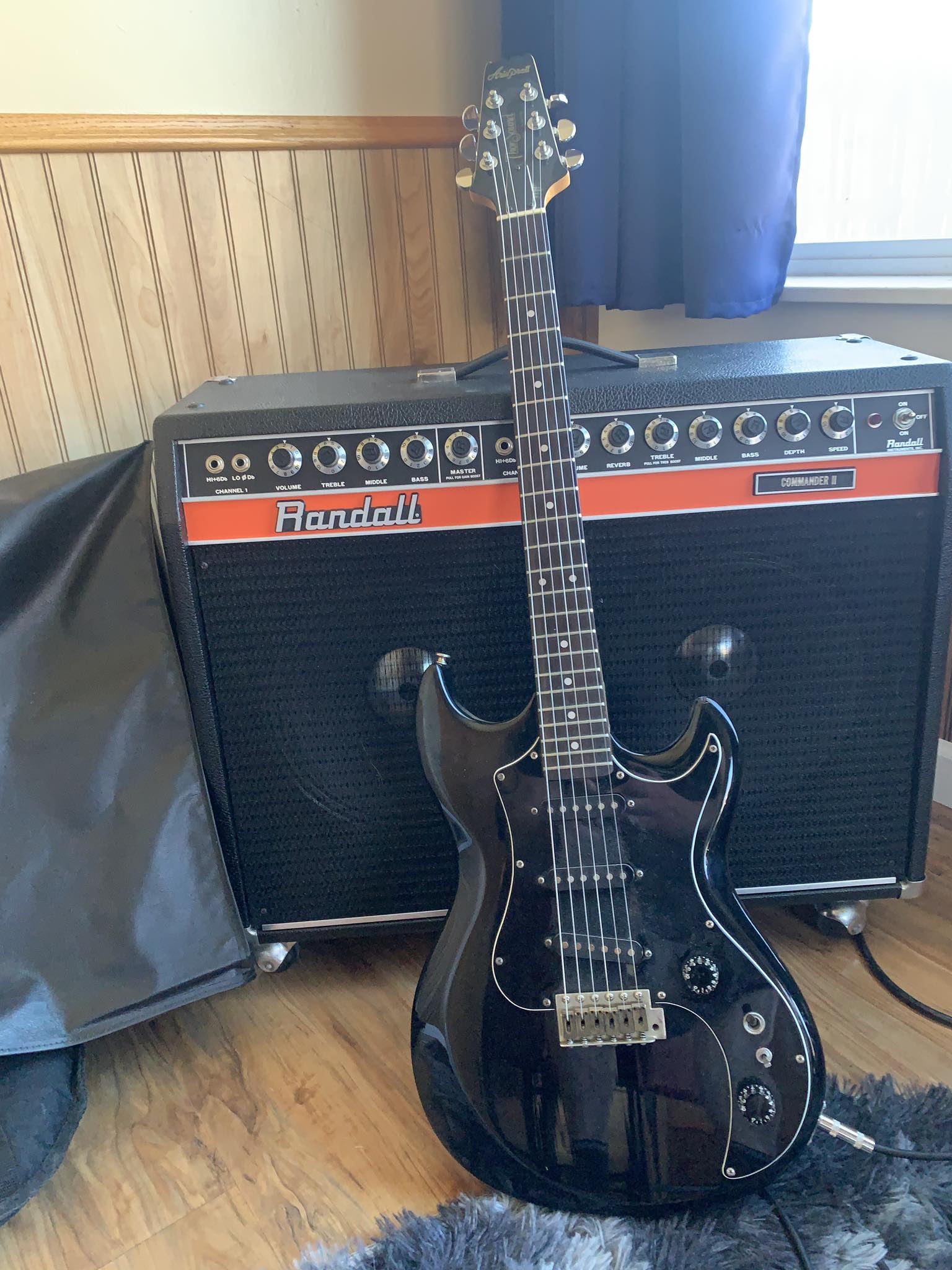 What is the history of the 1982 Aria Pro ii Thor Sound guitar?