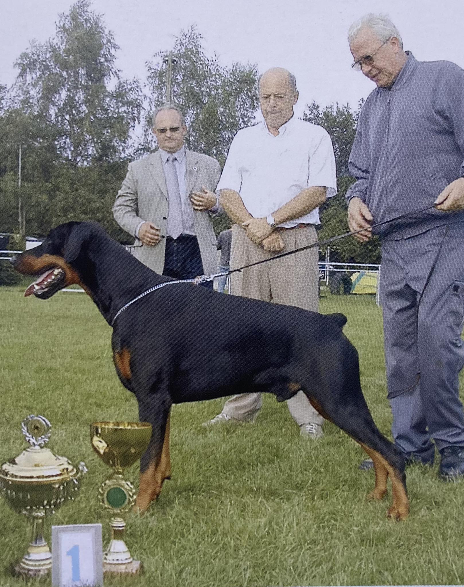 🇧🇪 RAMONBURG'S CHINJI 🇧🇪 🏆 International Champion 🏆 Multi