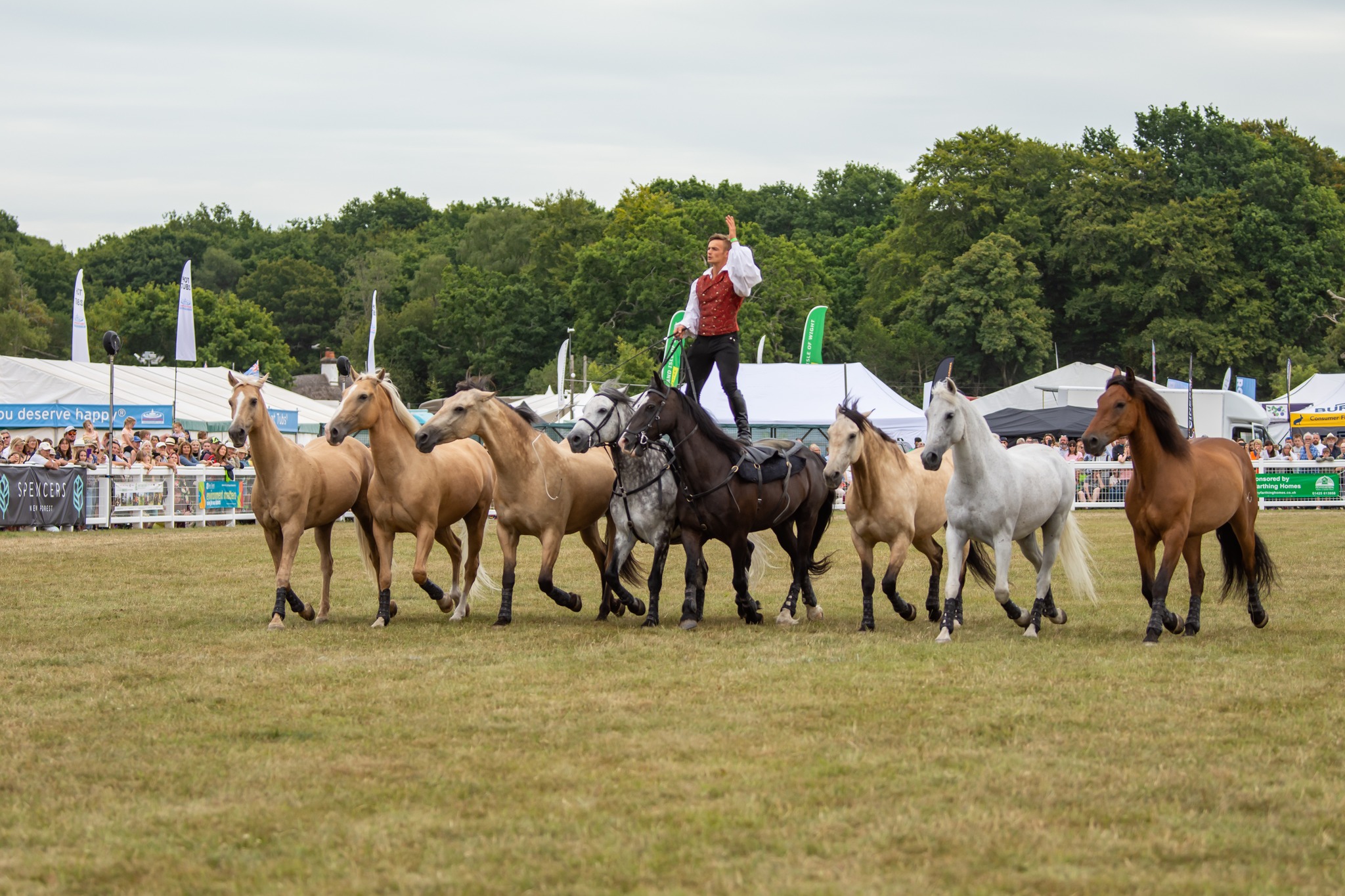 New Forest and Hampshire County Show