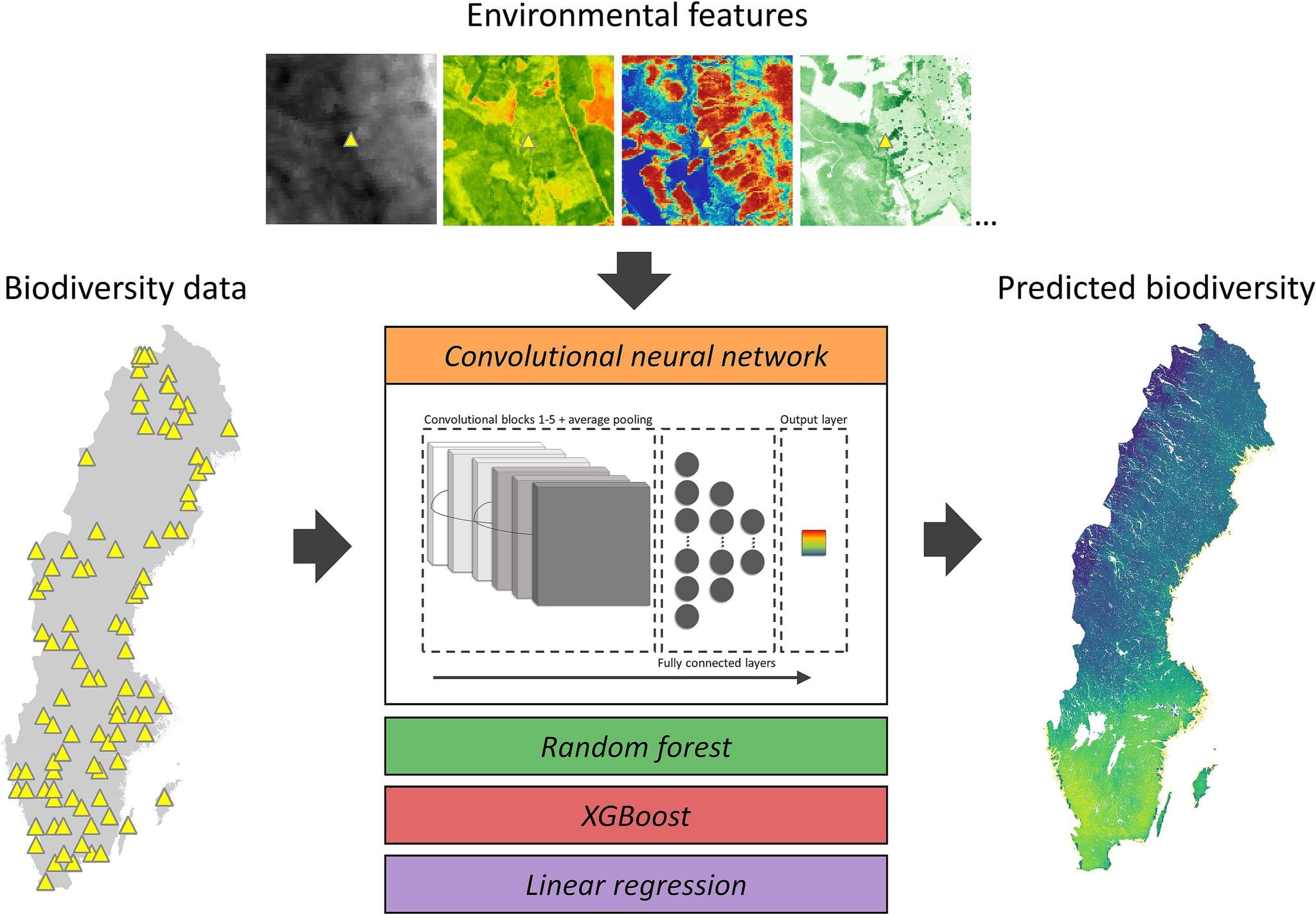 Biodiversity Informatics Training Curriculum | Facebook
