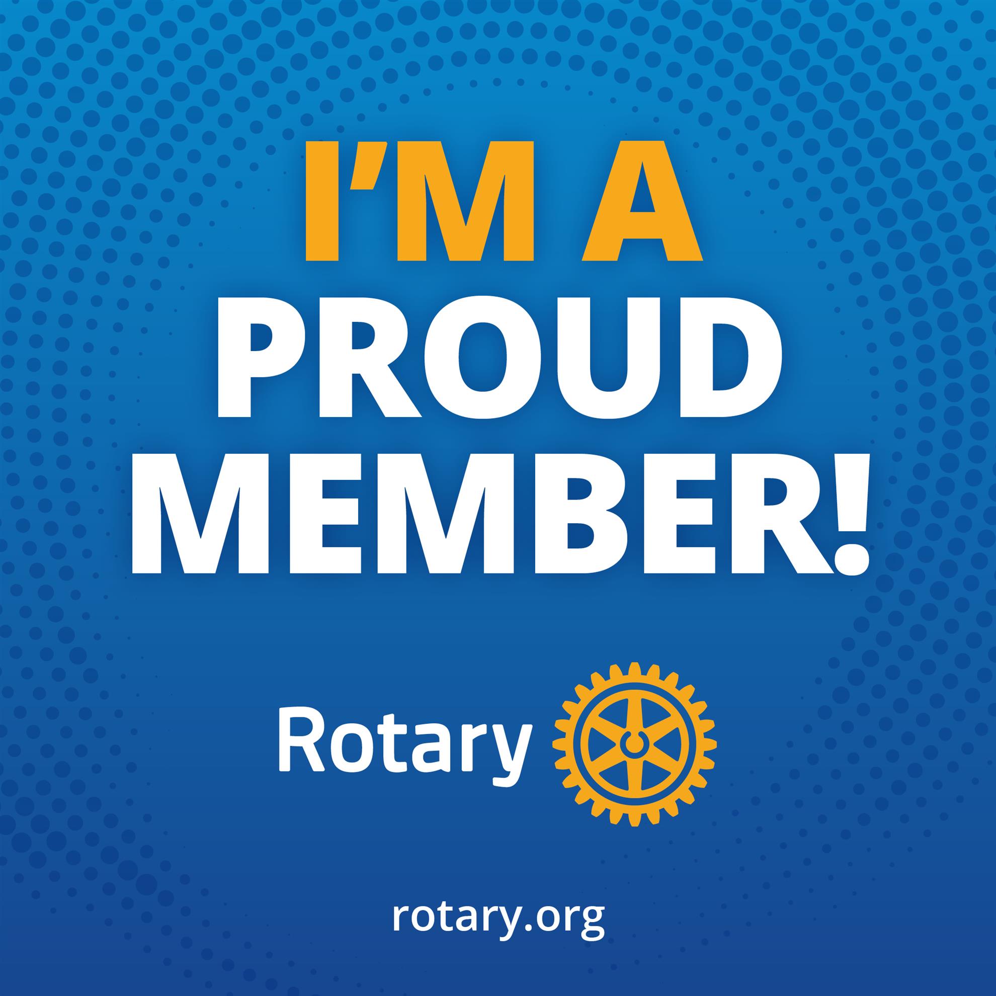 Albany Mosaic Rotary | Albany NY
