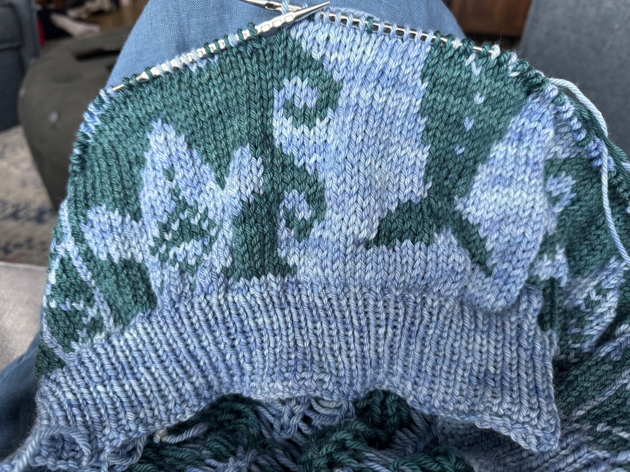 Knitting a whale sweater for personal enjoyment