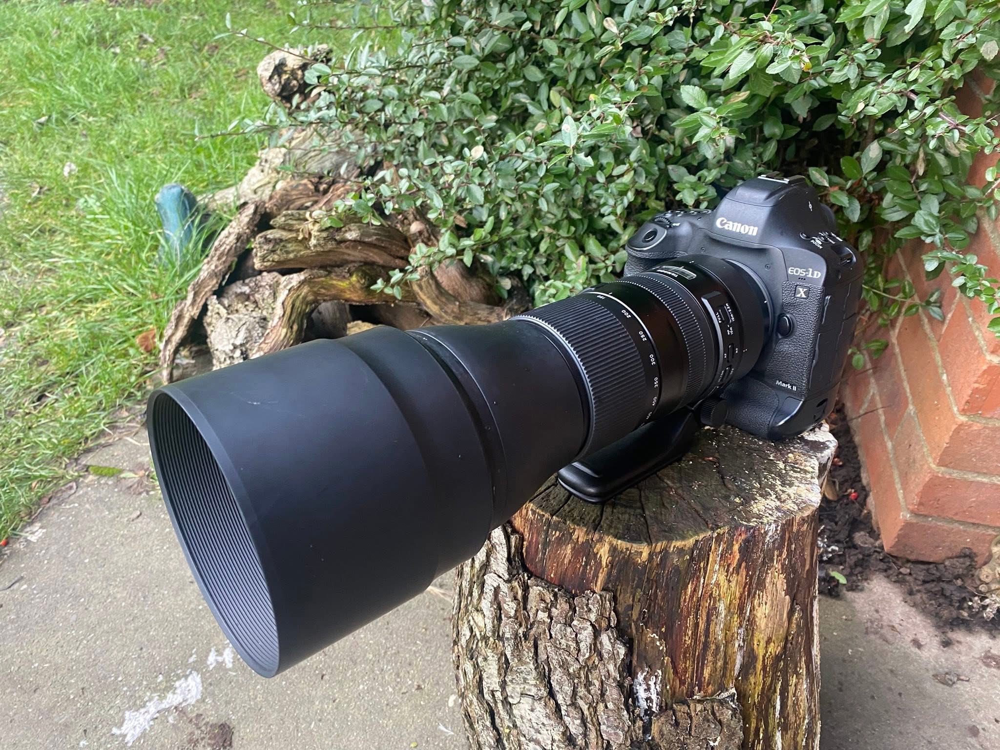Canon 1D with EF 300mm f2.8L lens review
