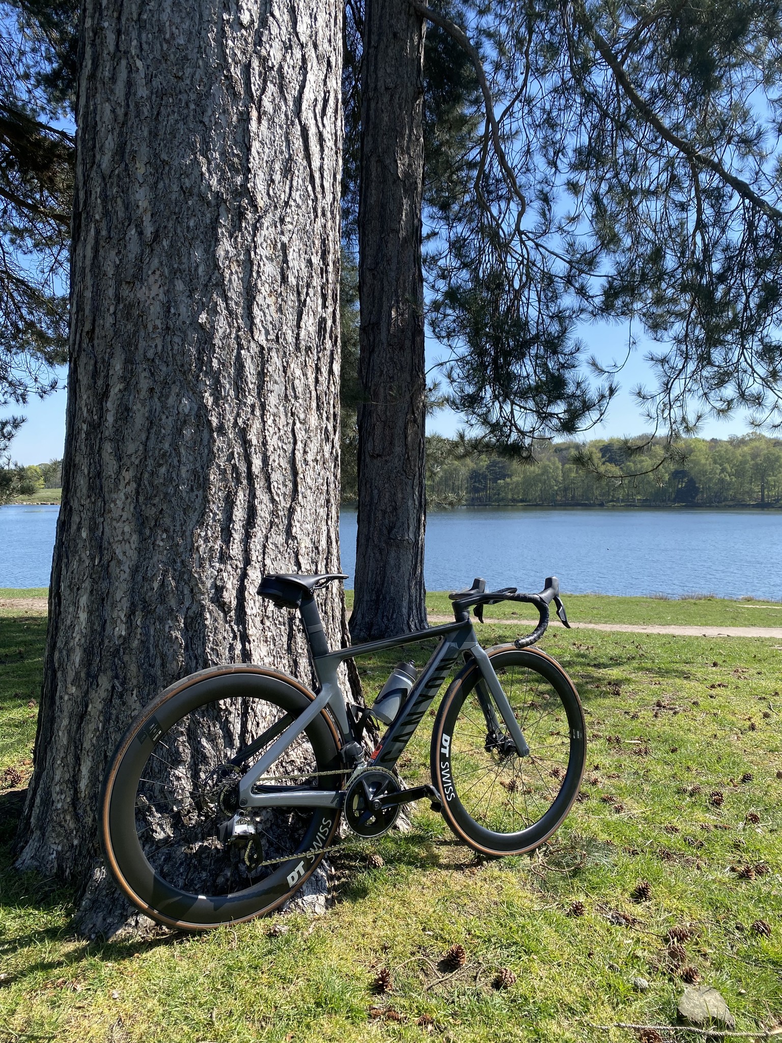 Where to buy Canyon CP0015 stem in 110 or 120mm?