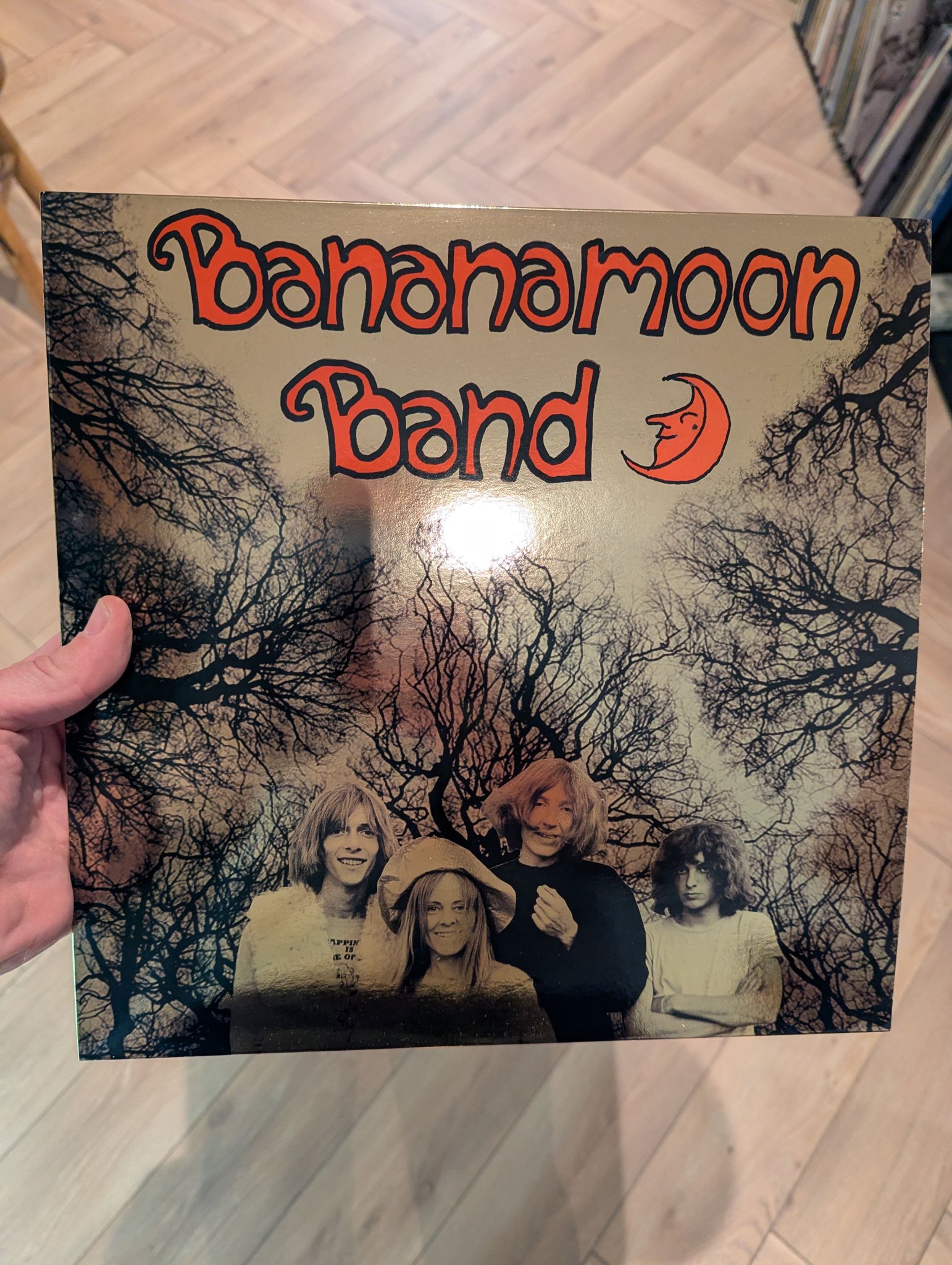Daevid Allen's album Banana Moon