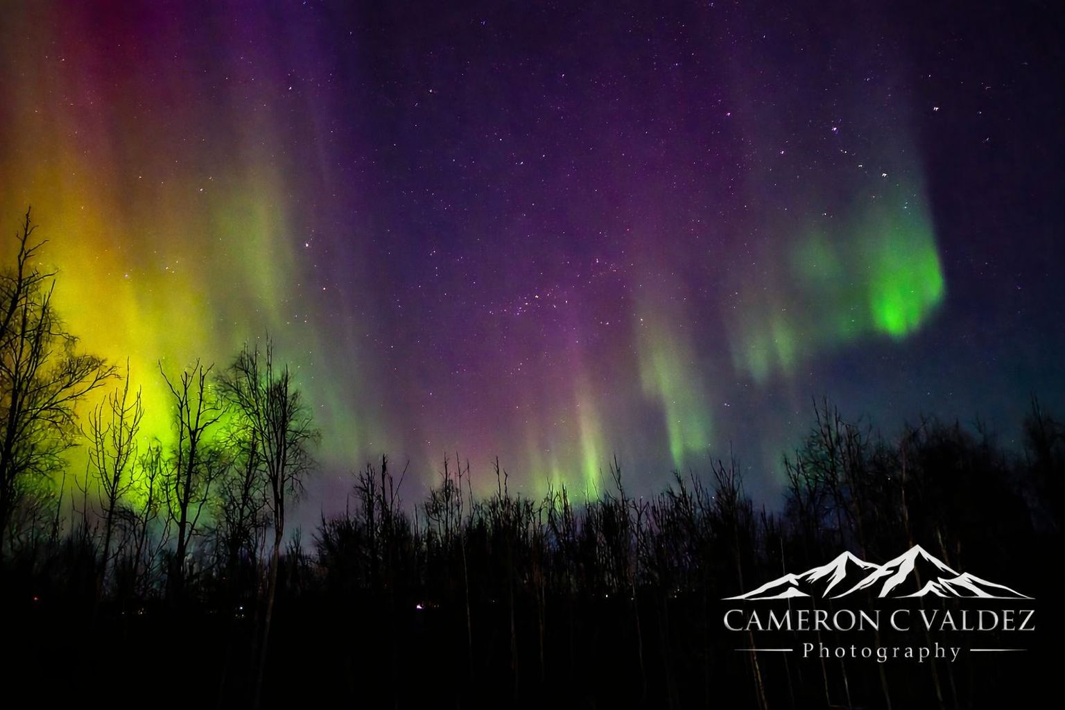 Northern lights ドラゴンヘッド Vibrant aurora lights up the night sky over the Alaskan wilderness