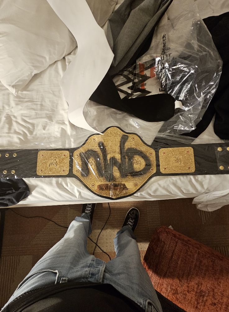 激レア　NWO チャンピオンベルト　WWE WCW プロレス I finally own my 1st WWE/WCW/NWO BELT WOOOOOOOOOO