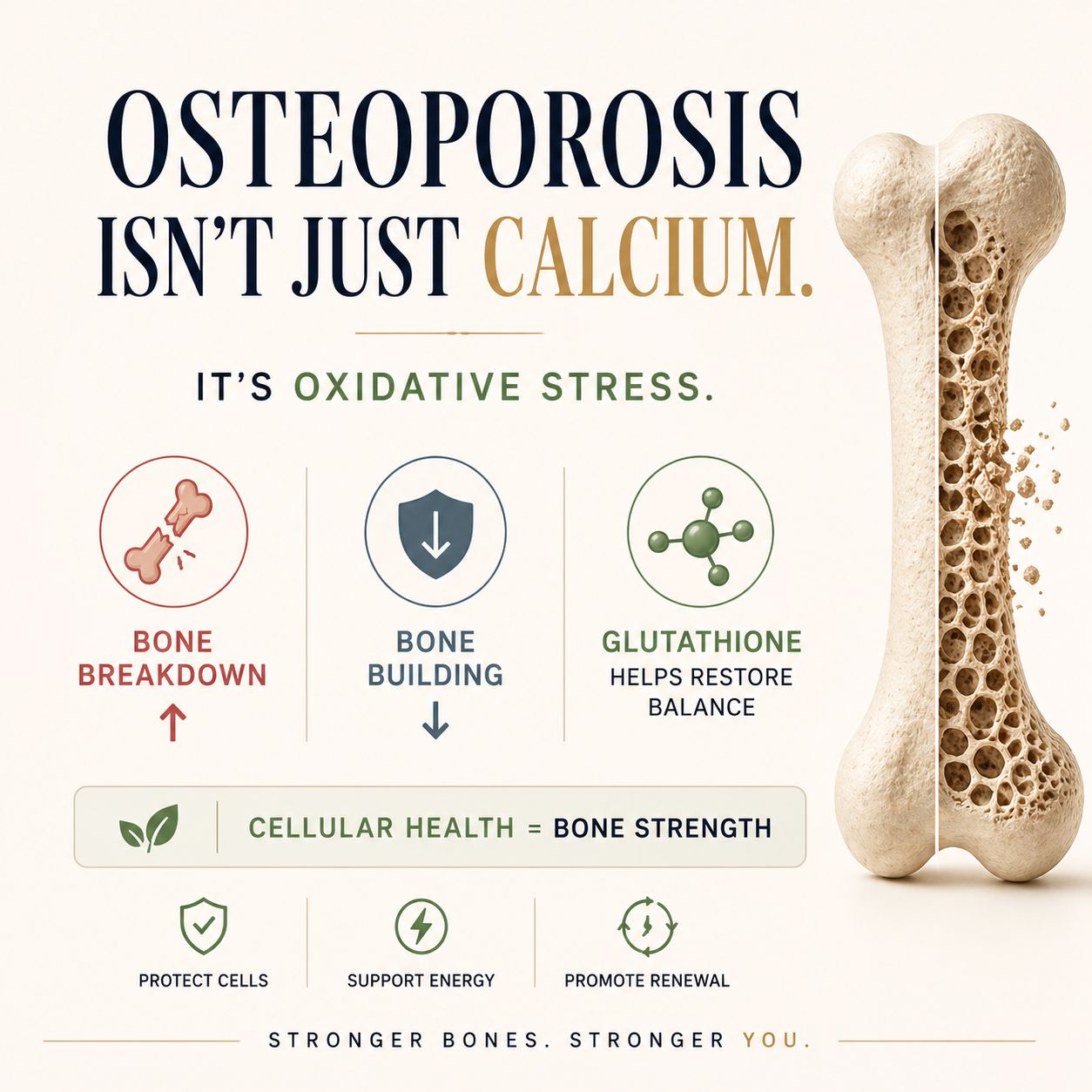 glutathione and calcium What is Glutathione? What are the Benefits of Glutathione? What Makes This Different This isnt your regular antioxidant situation Shop Glutathione Supplements | Youtheory
