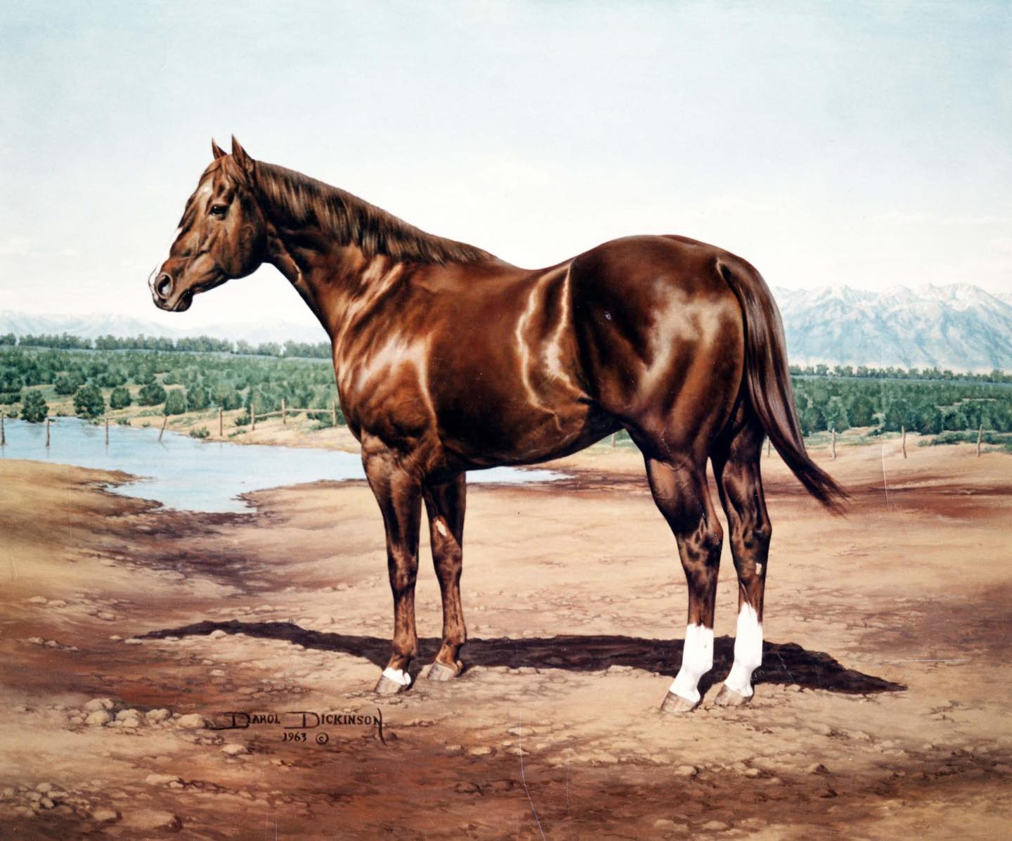 Washington State Quarter Horse Association (WSQHA)