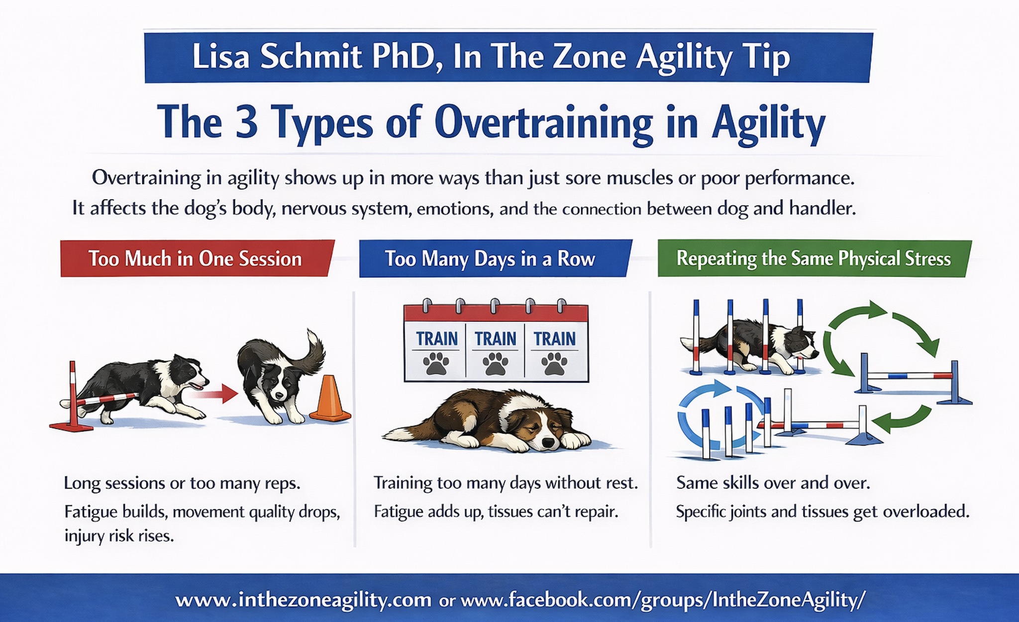 Lisa - Types of Overtraining in Agility - Feel Free to Share ...