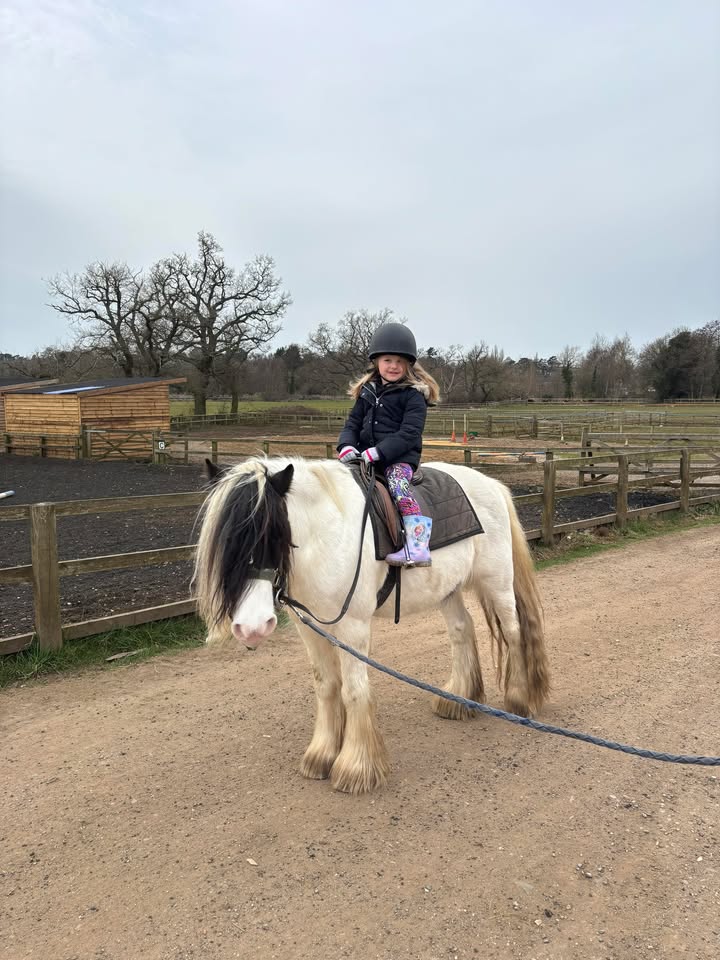 The Little Ranch Riding Centre | Facebook