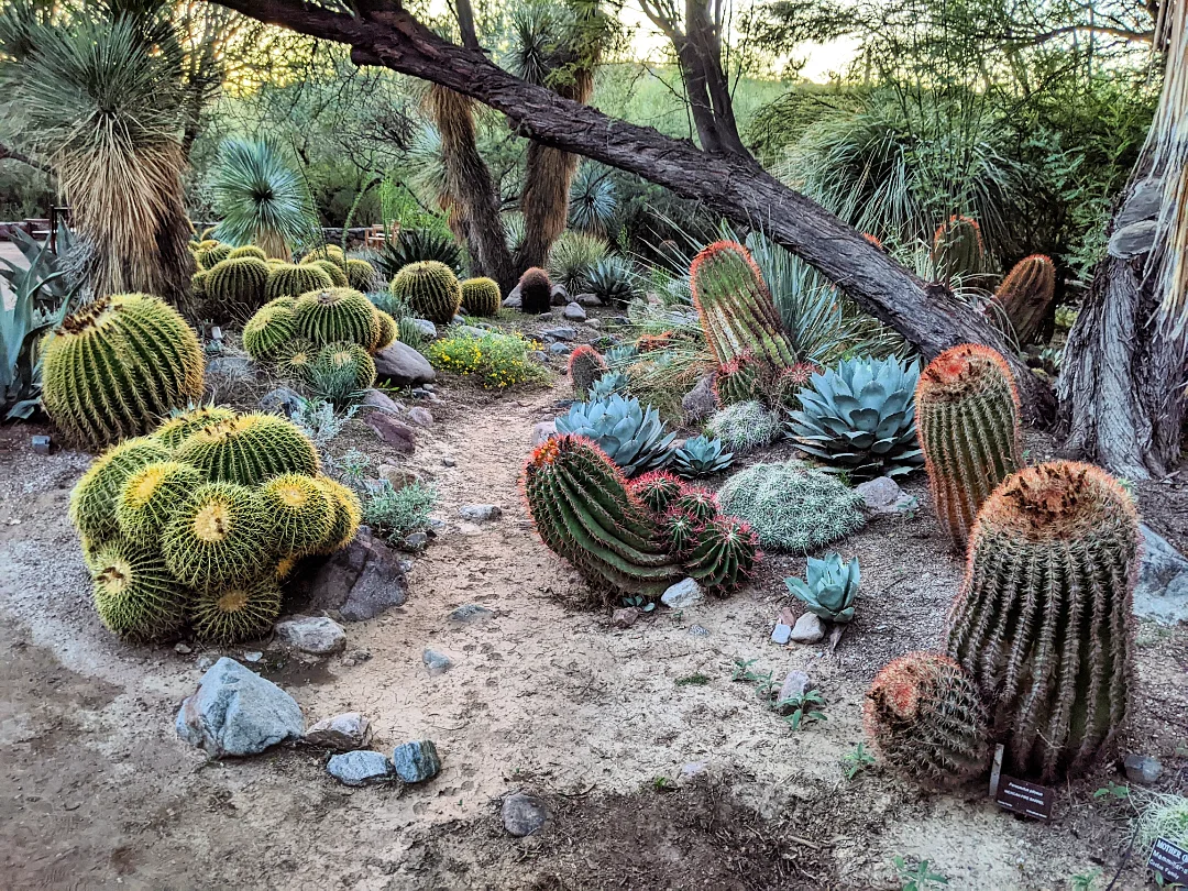 Jan Emming - The amazing Boyce Thompson Arboretum in... | Facebook