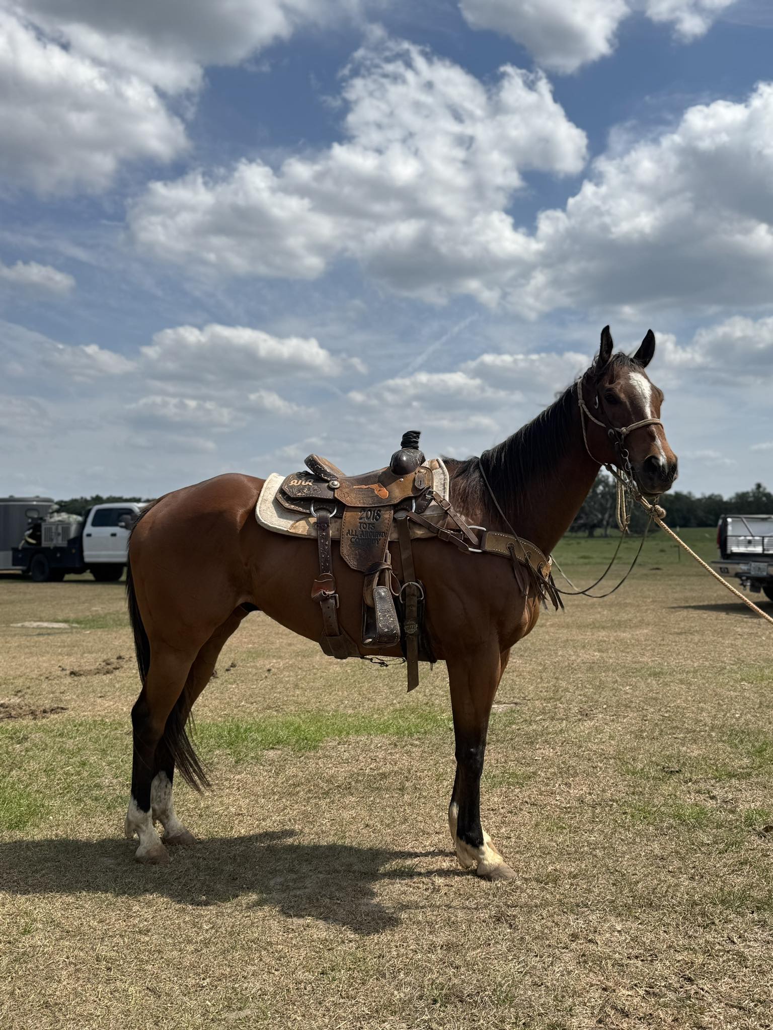 Triple R Ranch | Floral City FL