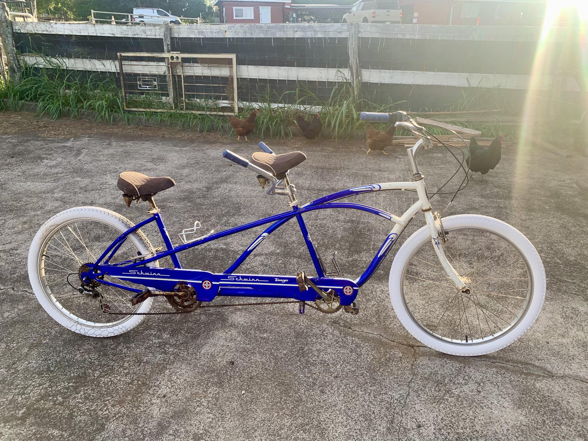 schwinn aerostar bicycle Bike 20” Portland launching rebates for and a basket to Color:Element Bulletproof backpack