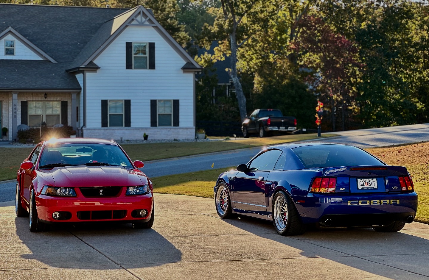 Nick - DOUBLE BRICCED UP 🤣🐍 #ford #mustang #cobra #svt #terminator # ...