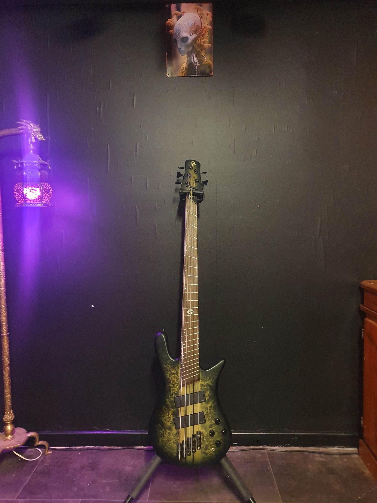 What are good hardcase options for Spector NS Dimension 5?