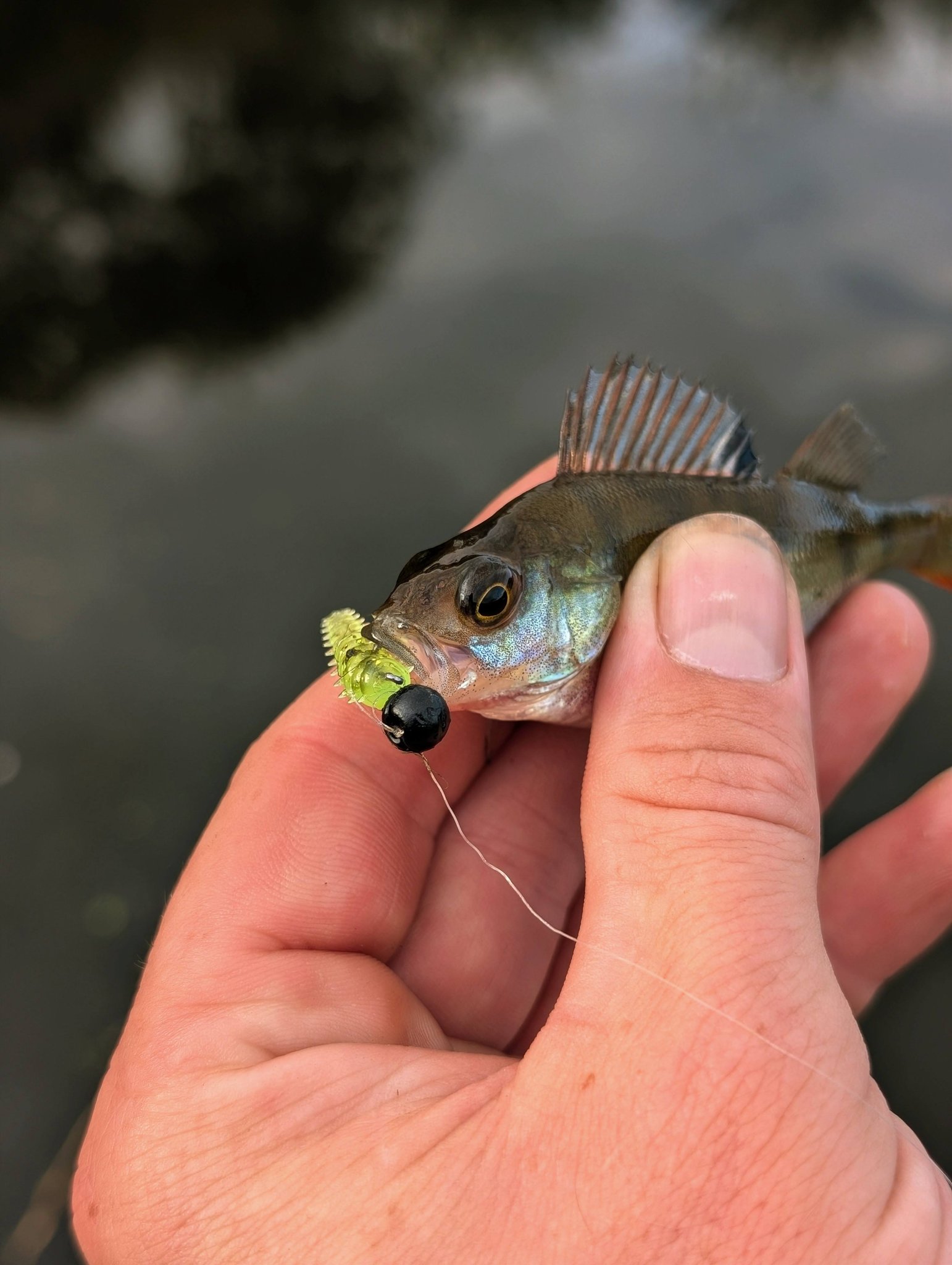 diy bottle cap fishing lures Lure The World Fishing Network DIY Automatic Fisherman for Color:Orange Walleye abu garcia cs pro rocket