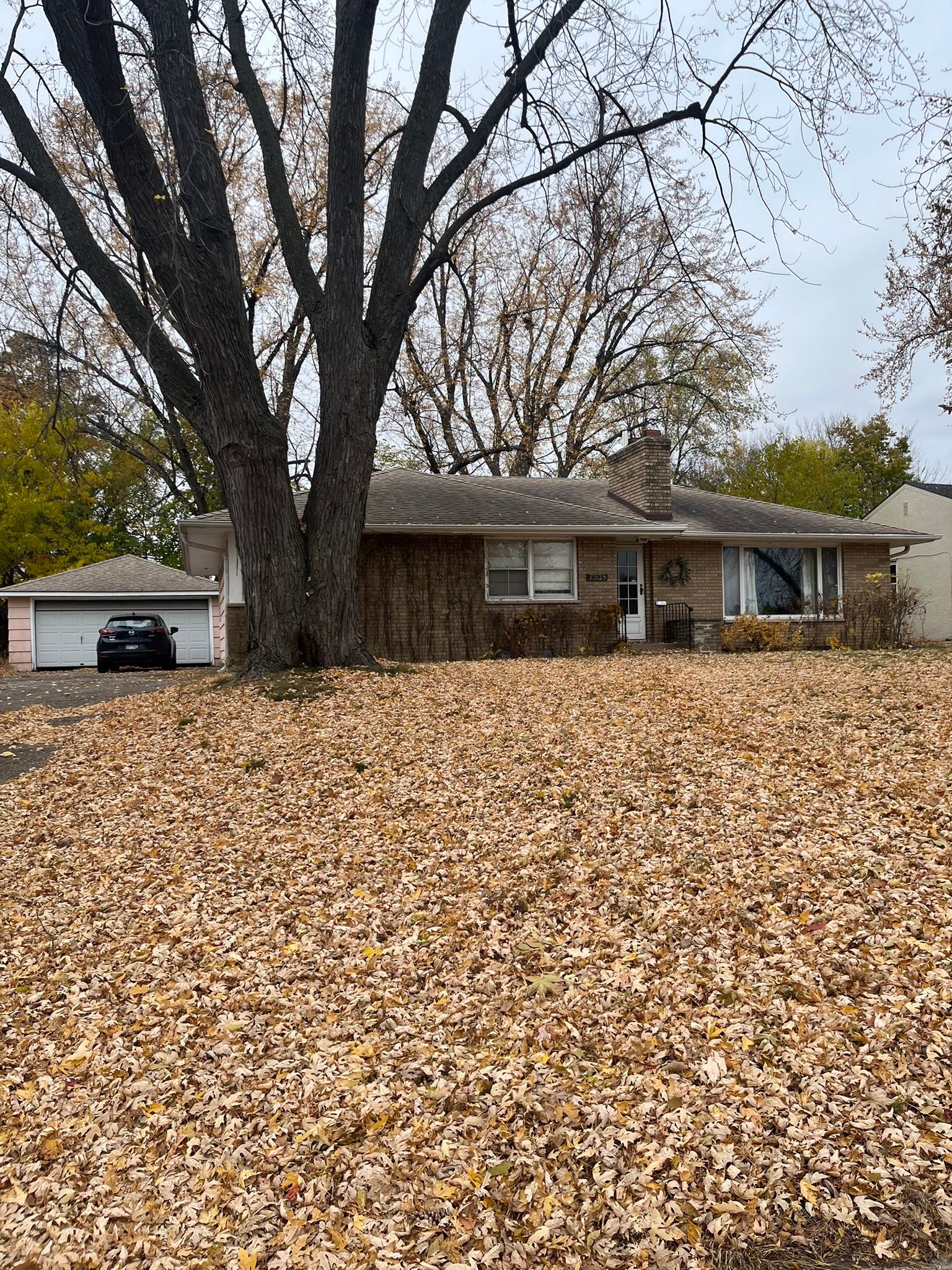 Richfield, MN Community Page | Looking for someone to clean the leaves ...