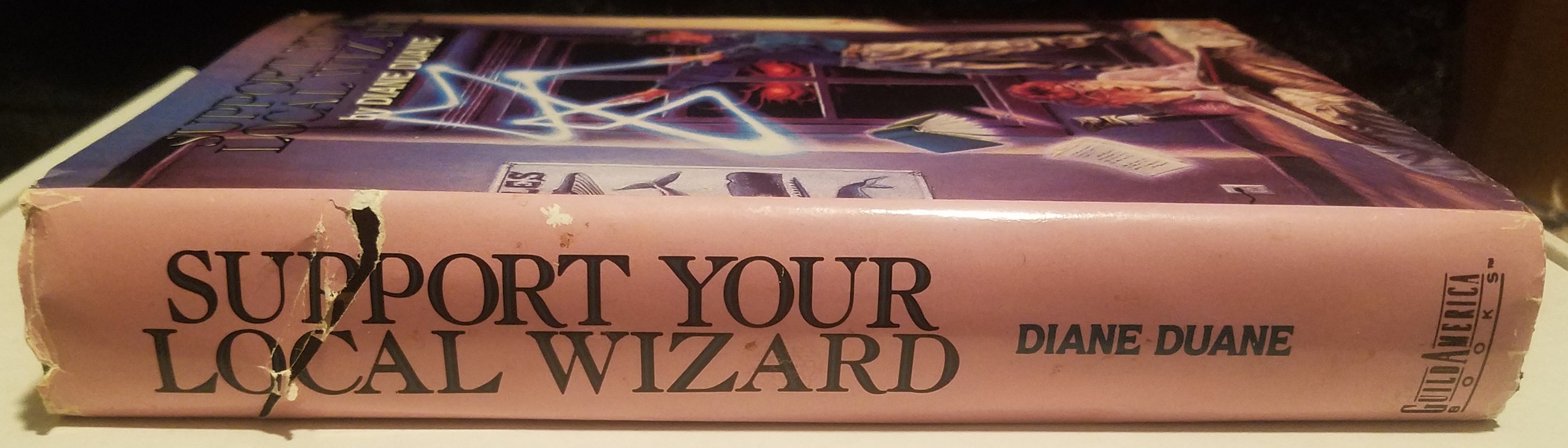 Young Wizards series by Duane
