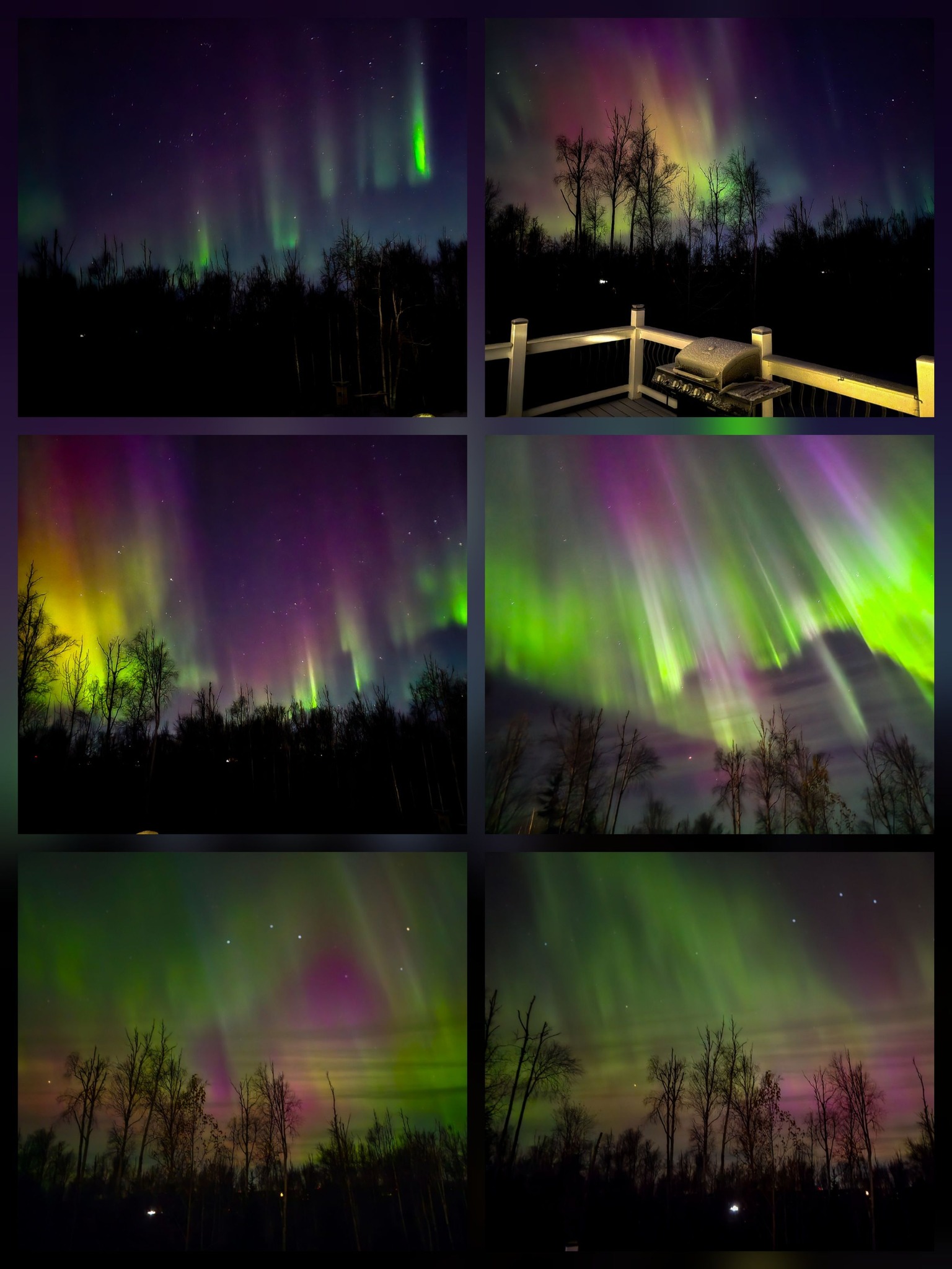 Vibrant aurora lights up the night sky over the Alaskan wilderness