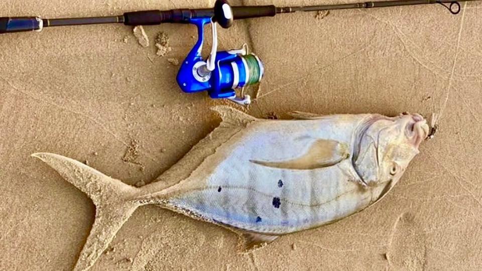 okuma cidros fishing rod registration Cedros Saltwater Spinning Reels Built to work jigs right and land what bites. Okuma Cedros Jigging Spinning Rod