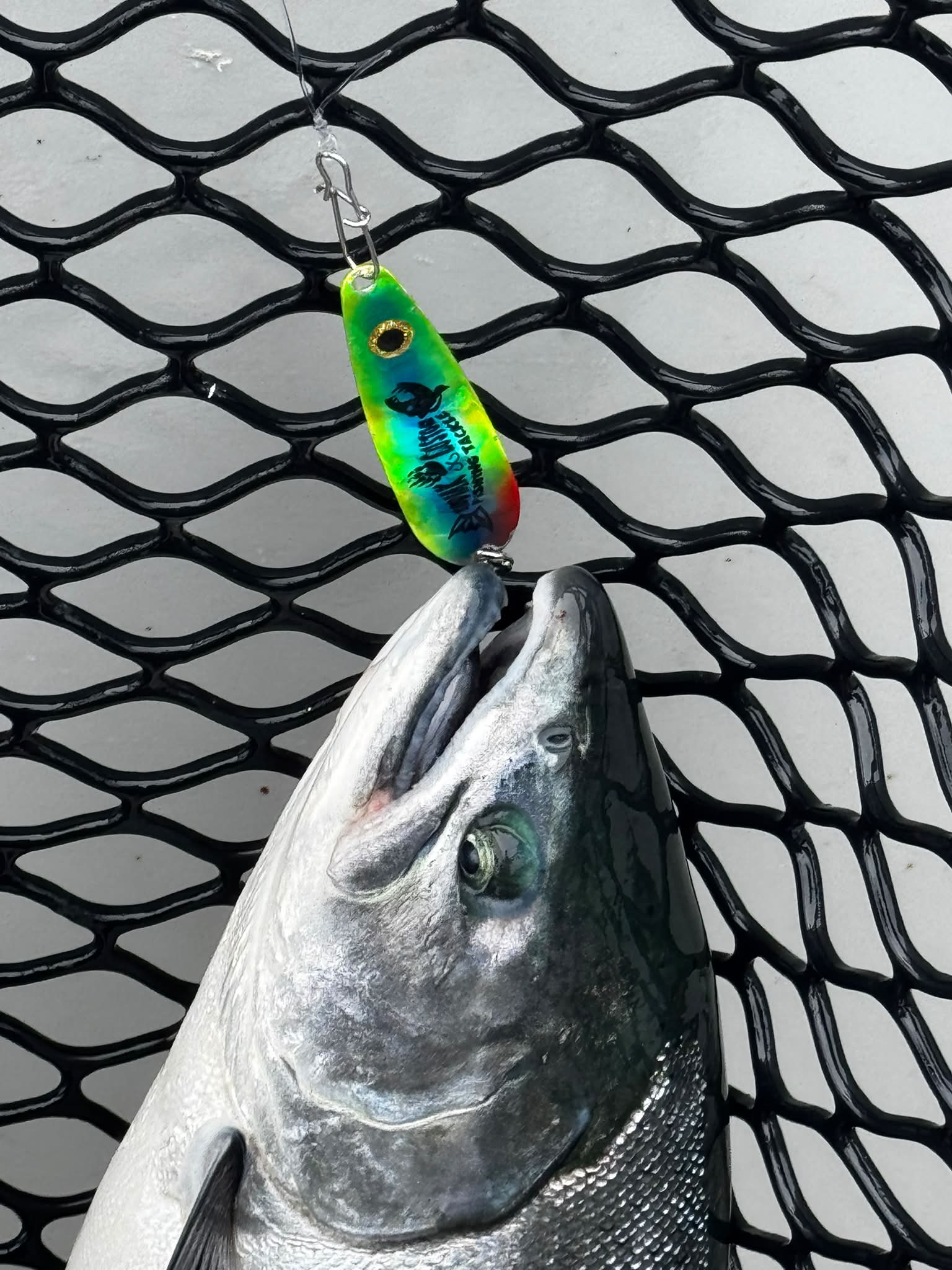 alaska fishing lures  Catch Dorado producing colors for any water condition Fishing Lures: Which Ones Are