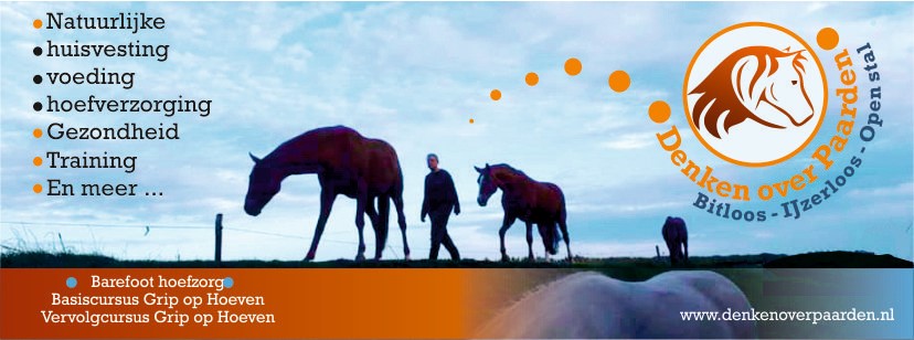 Denken over paarden | Goedemorgen, | Facebook