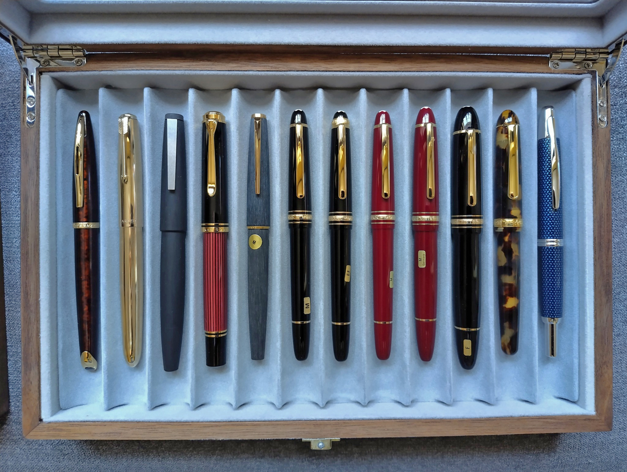 Fountain pen collection featuring Waterman, Parker, Lamy, and