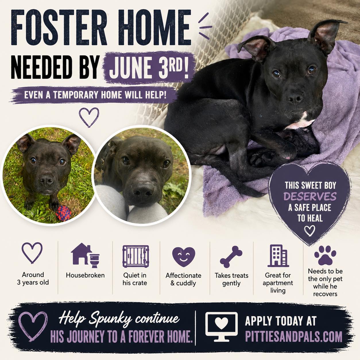 Help us find a home for sweet Spunky!