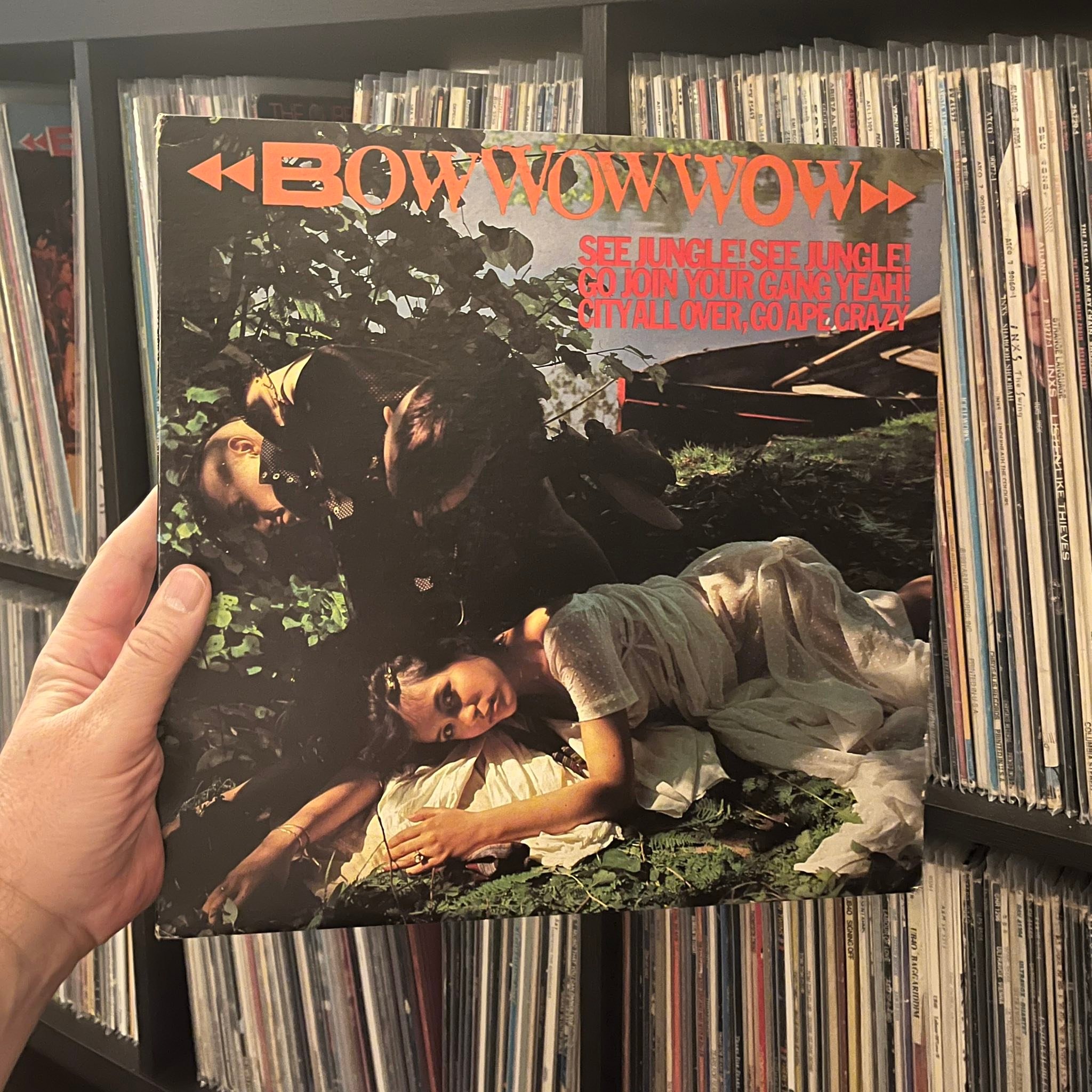 Bow Wow Wow's debut album See Jungle! released in 1981