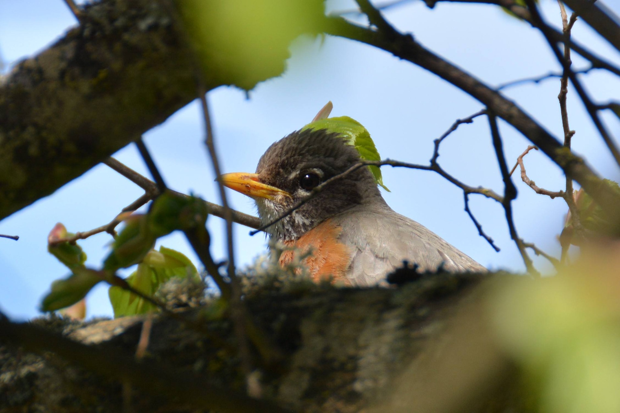 Nikon D7100 and 18-200mm Nikkor photos
