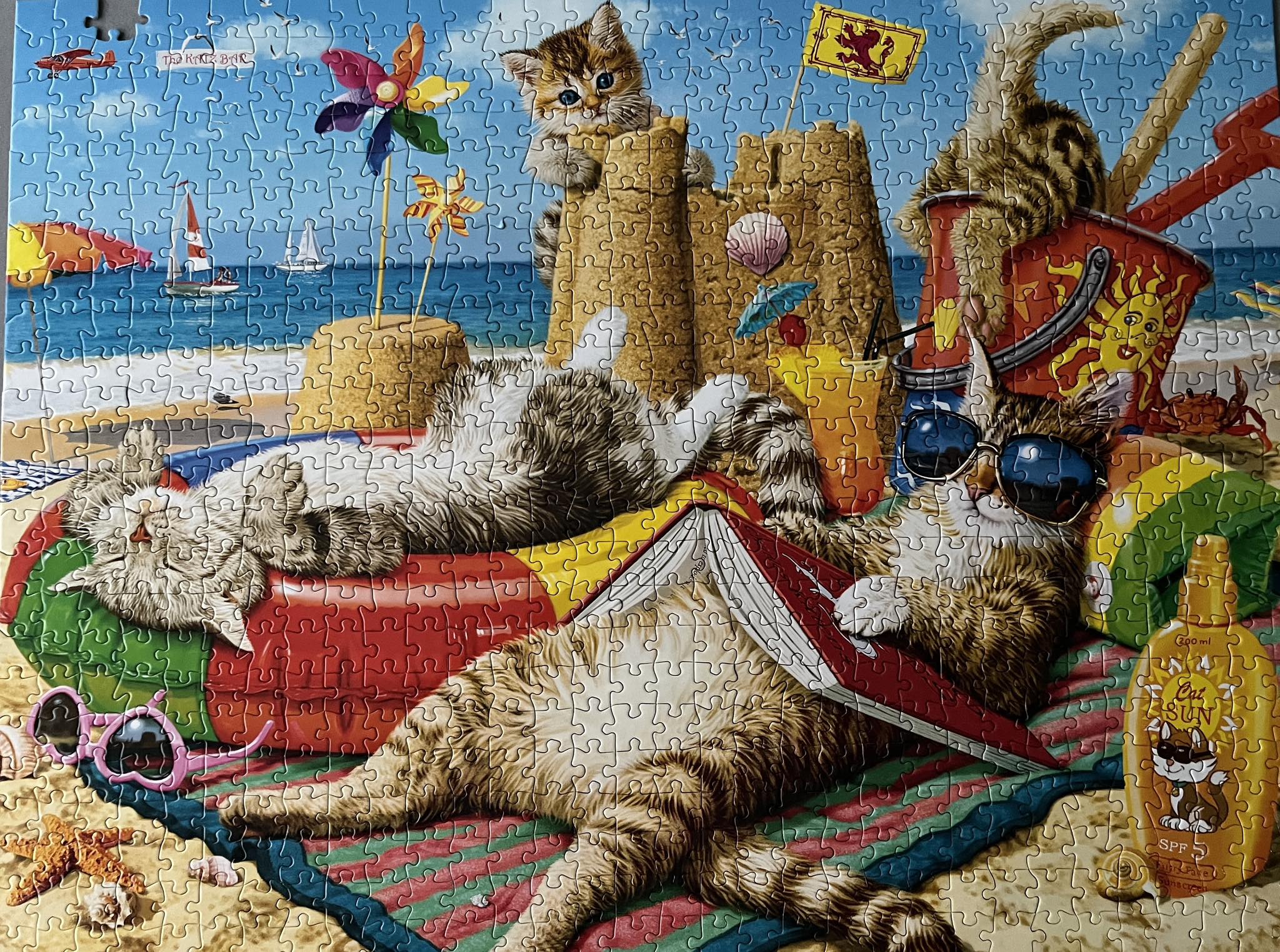 Beachcomber's companion jigsaw puzzle gift