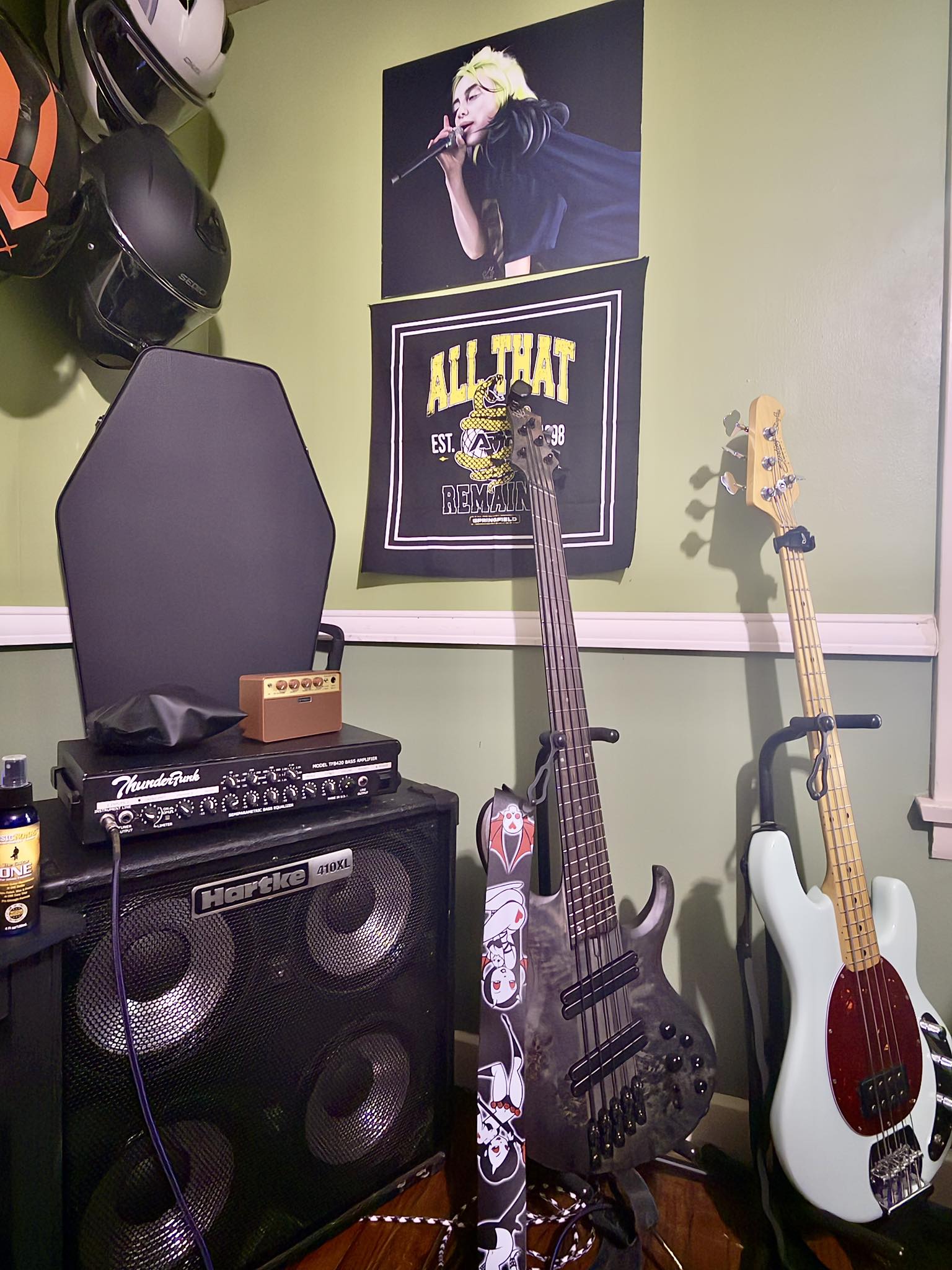 Spector case for NS Dimension multi-scale 5-string bass