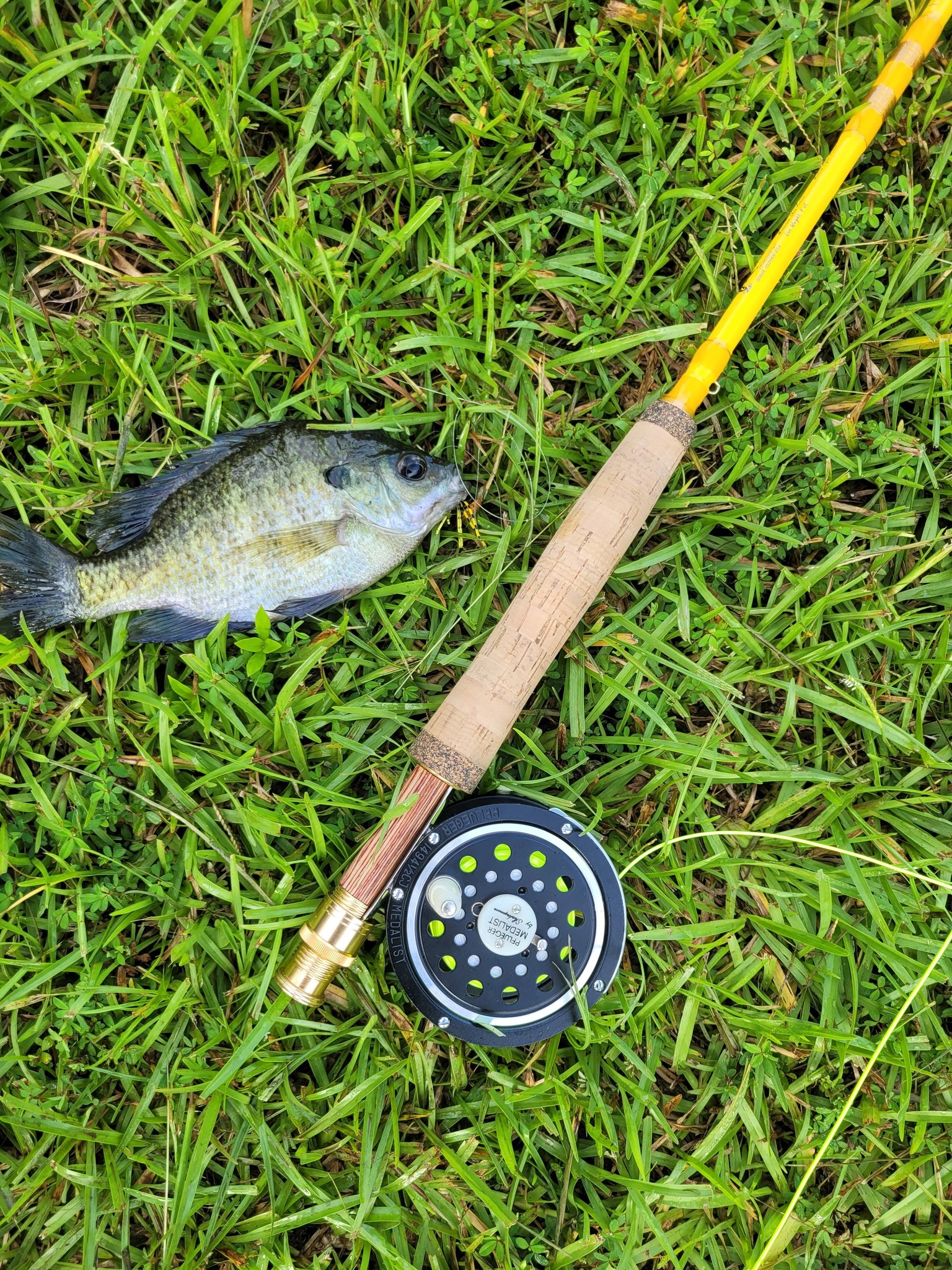 best reel matcg for the eagle featherlight fly rod Pro Combos up to bring a legend into the modern era of fishing Eagle Claw Featherlight Fly Fishing