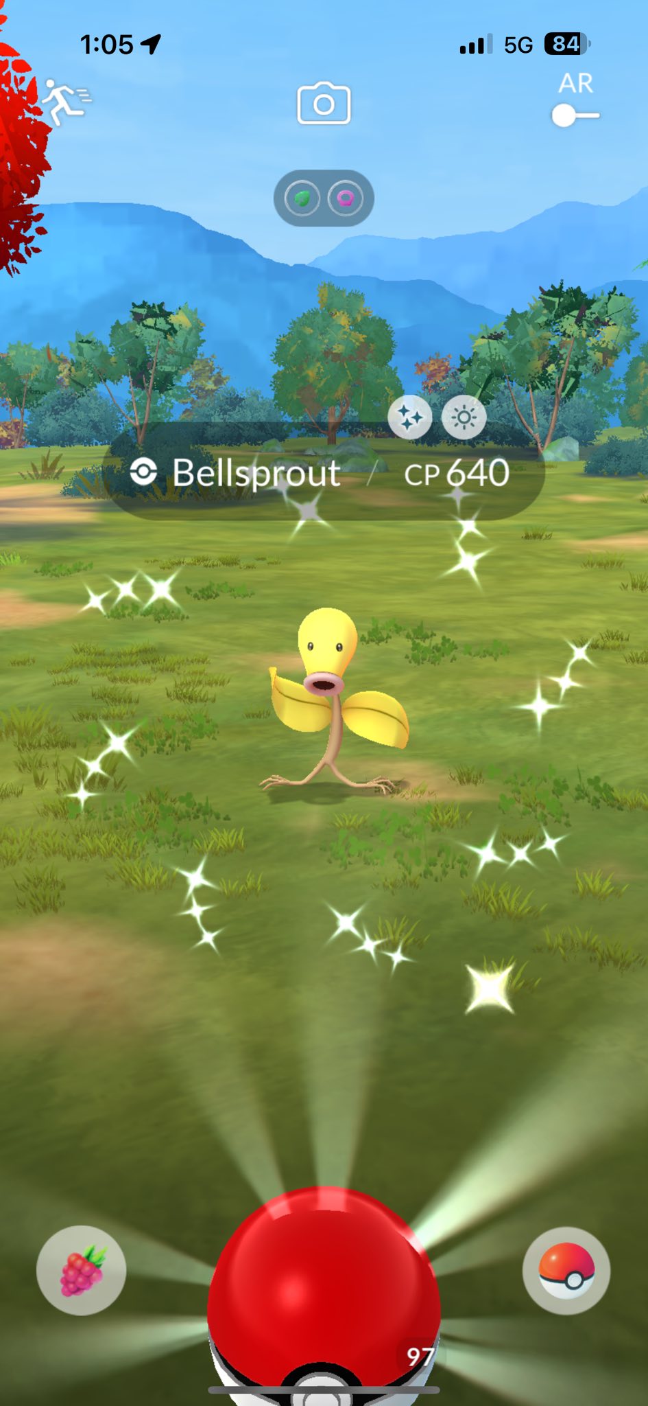 Pokémon Shiny Bellsprout XXL - Compte Pokémon Go UNIQUEMENT - Neuf (Account Registered)