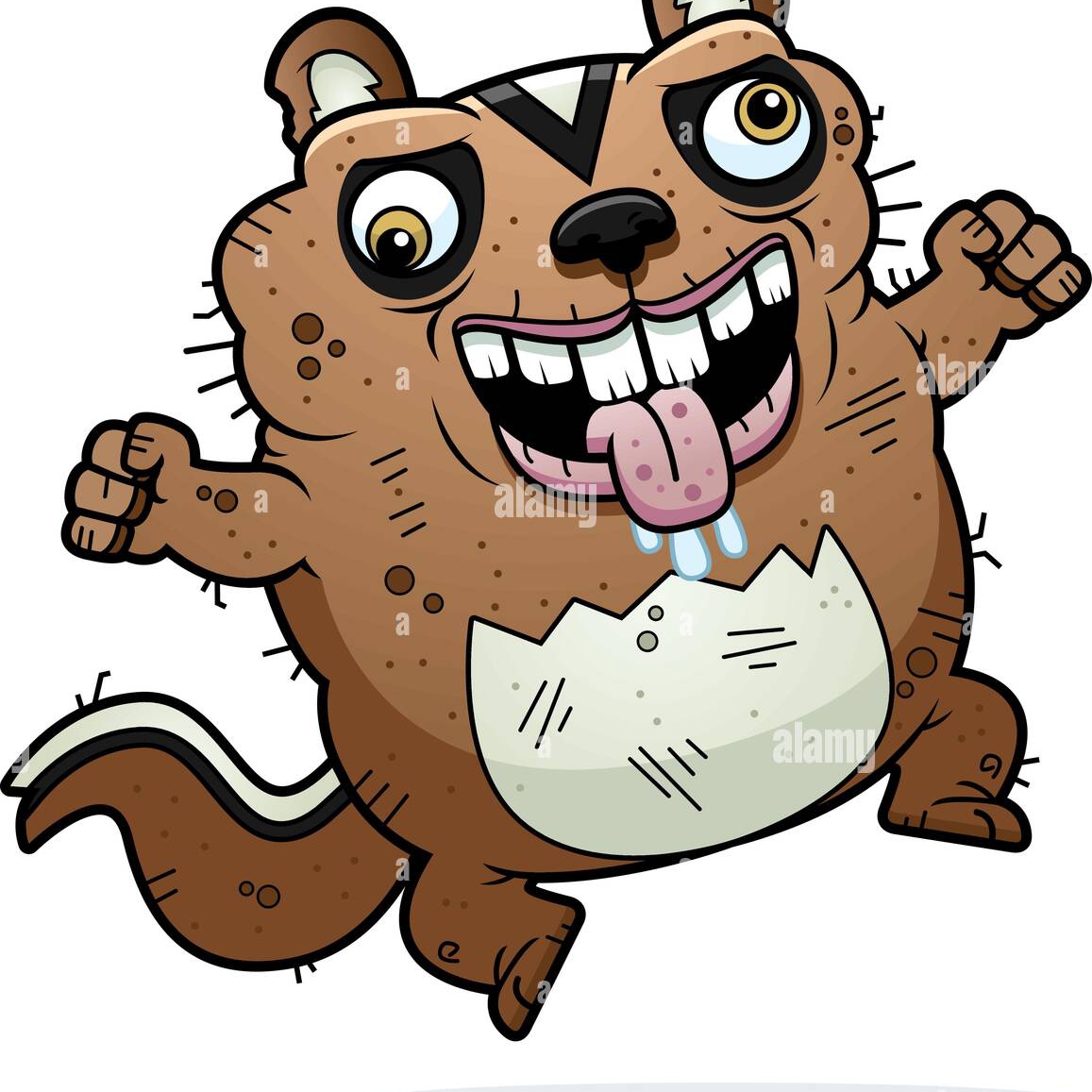 Butch Beaver - Rocks from the Miami River. Rock tumbler... | Facebook