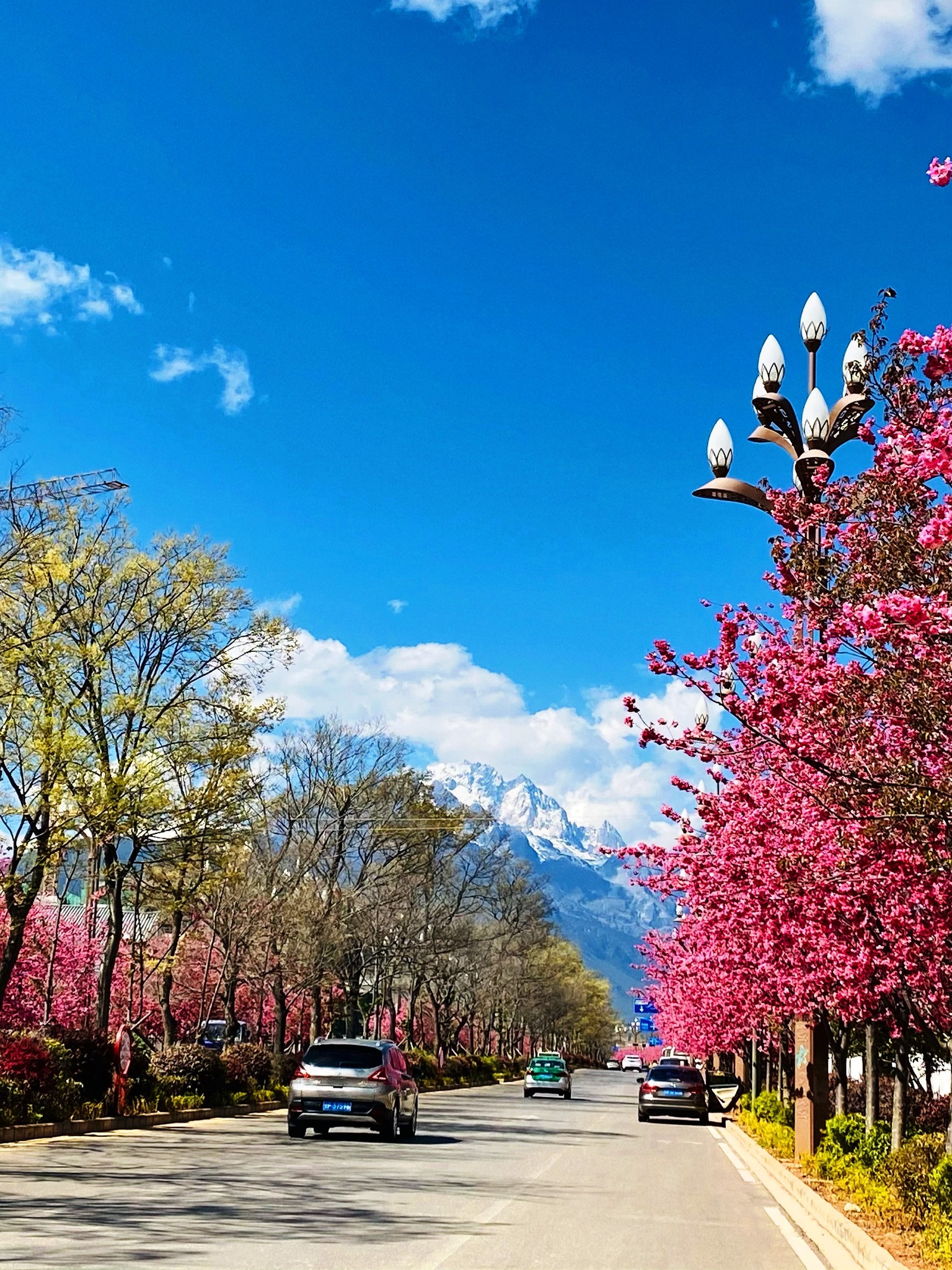 Go Yunnan - Captured in spring along Lijiang's Snow... | Facebook