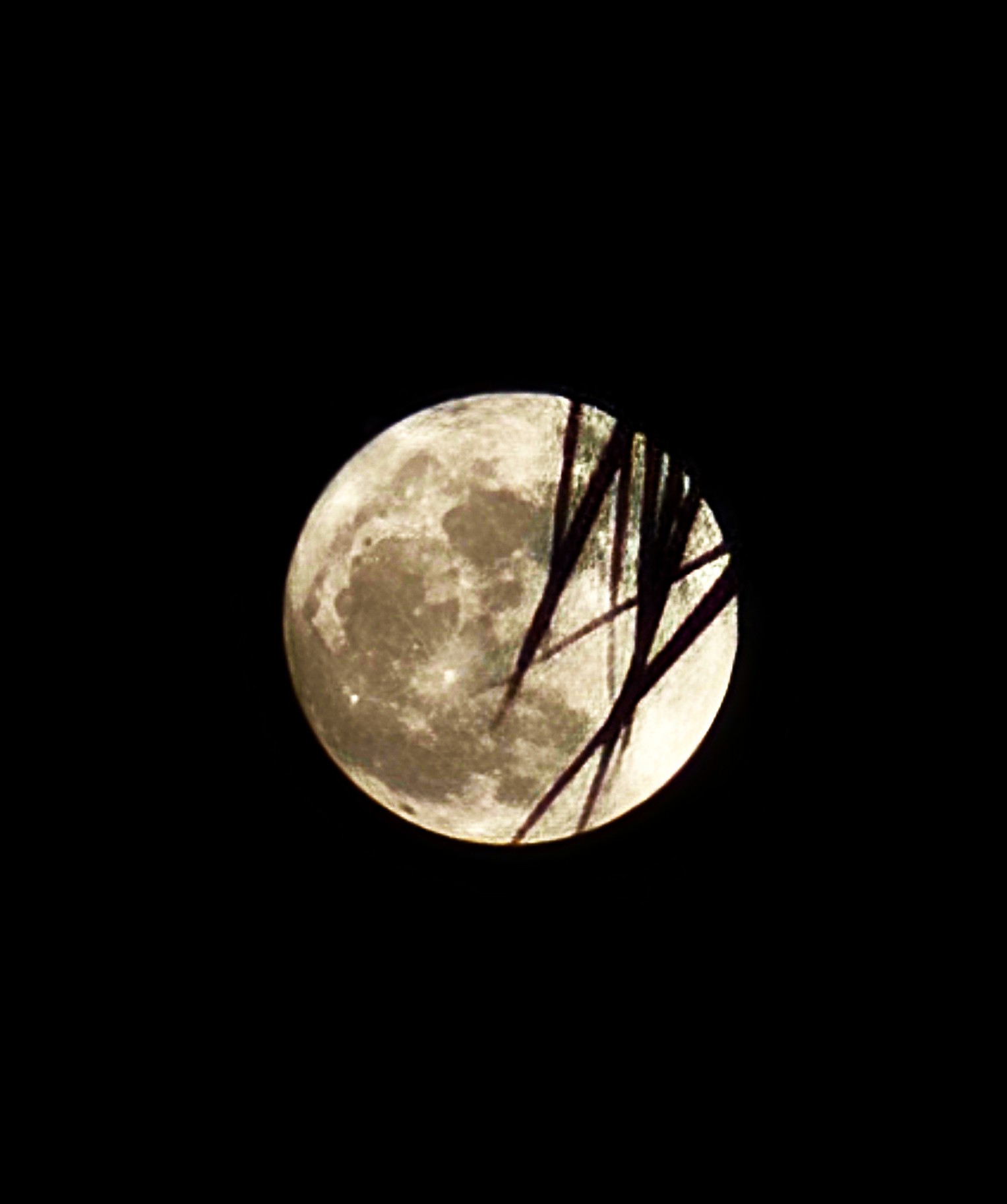 The 2026 Buck Moon as it appeared over Southern Arizona last night