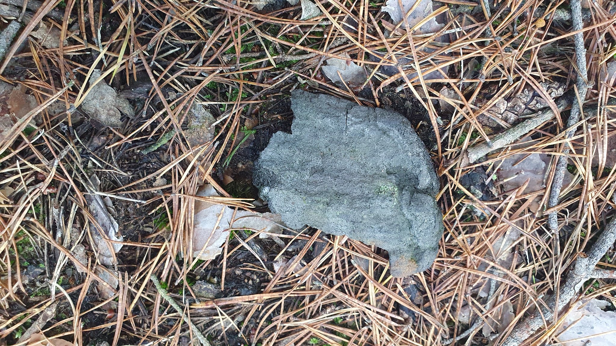 Was ist das ? Wer kennt diesen Gegenstand ? | Beim Waldspaziergang habe ...