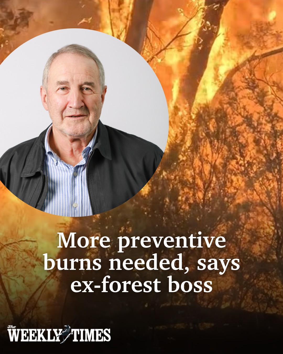 The Weekly - 📌 A former chief of CSIRO Forestry and Forest Products has ...