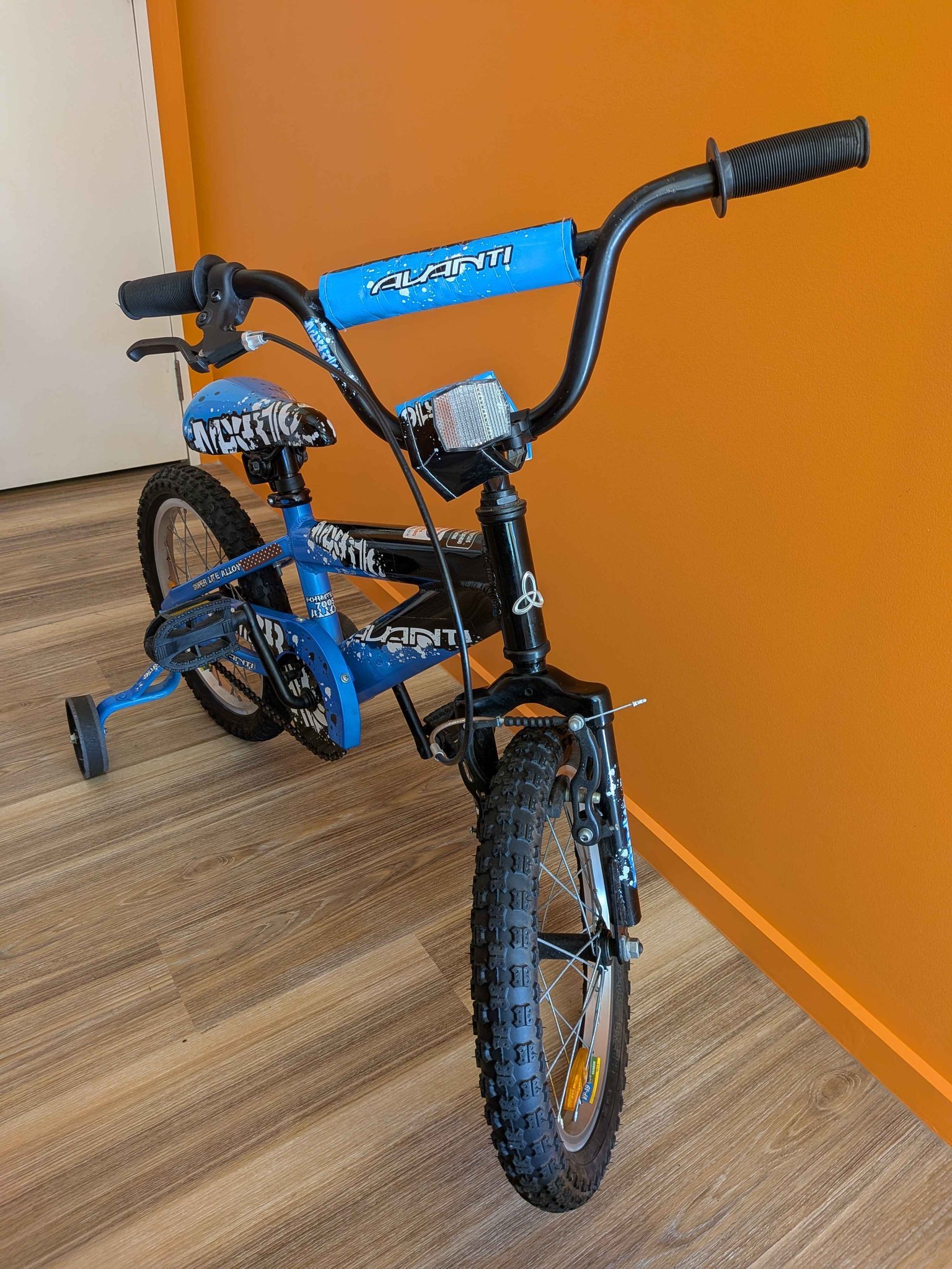 Perfect first bike! お子様の最初の自転車にぴったりです！ • Comes