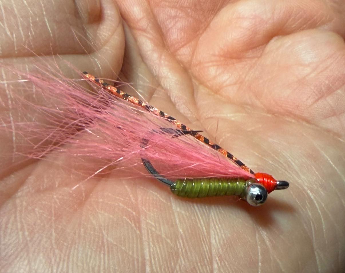 belize fishing lures february Umpqua Belize/Yucatan Guide Selection it doesnt matter Peterson's Spawning Shrimp ~ Dr'ed
